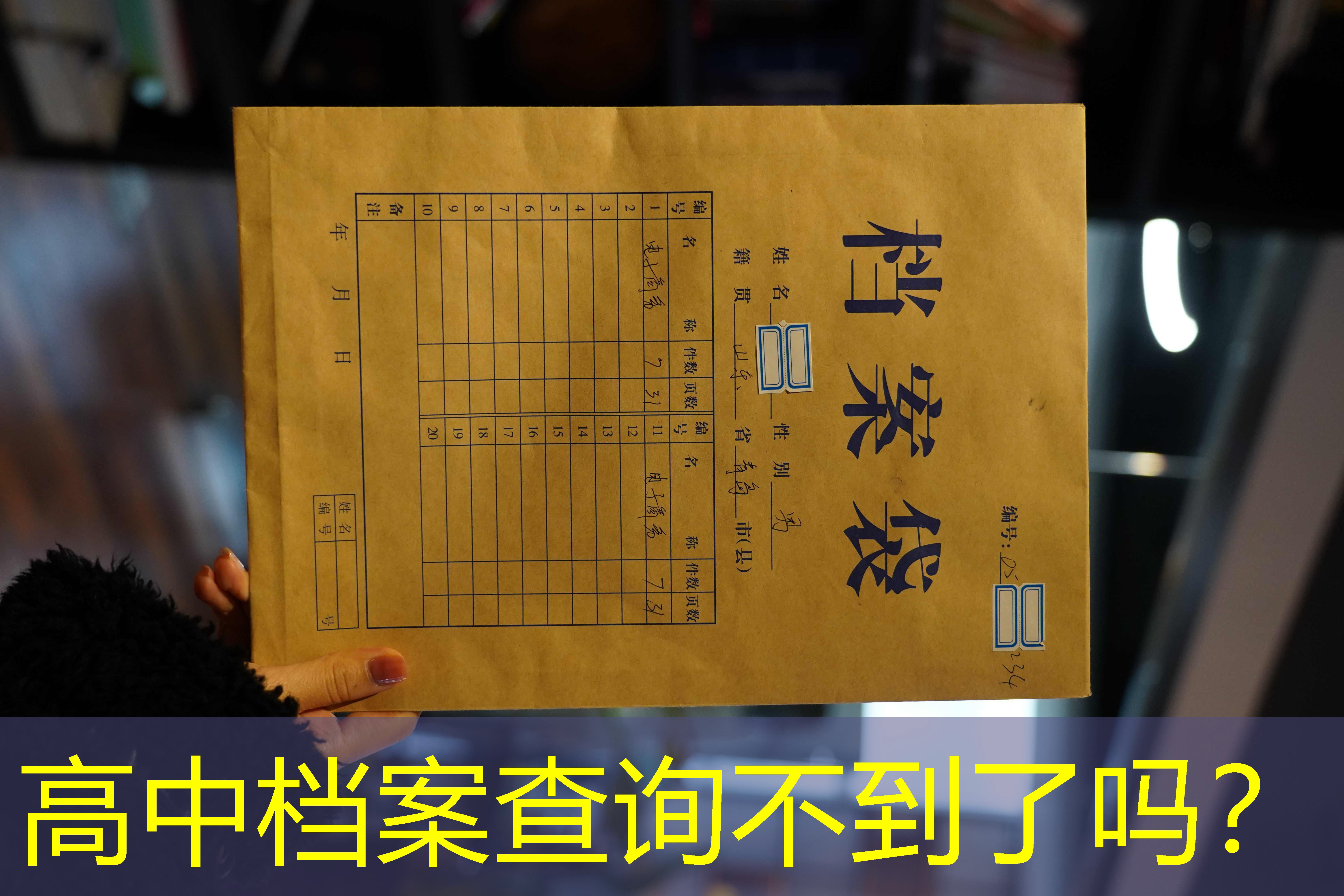 档案查询
