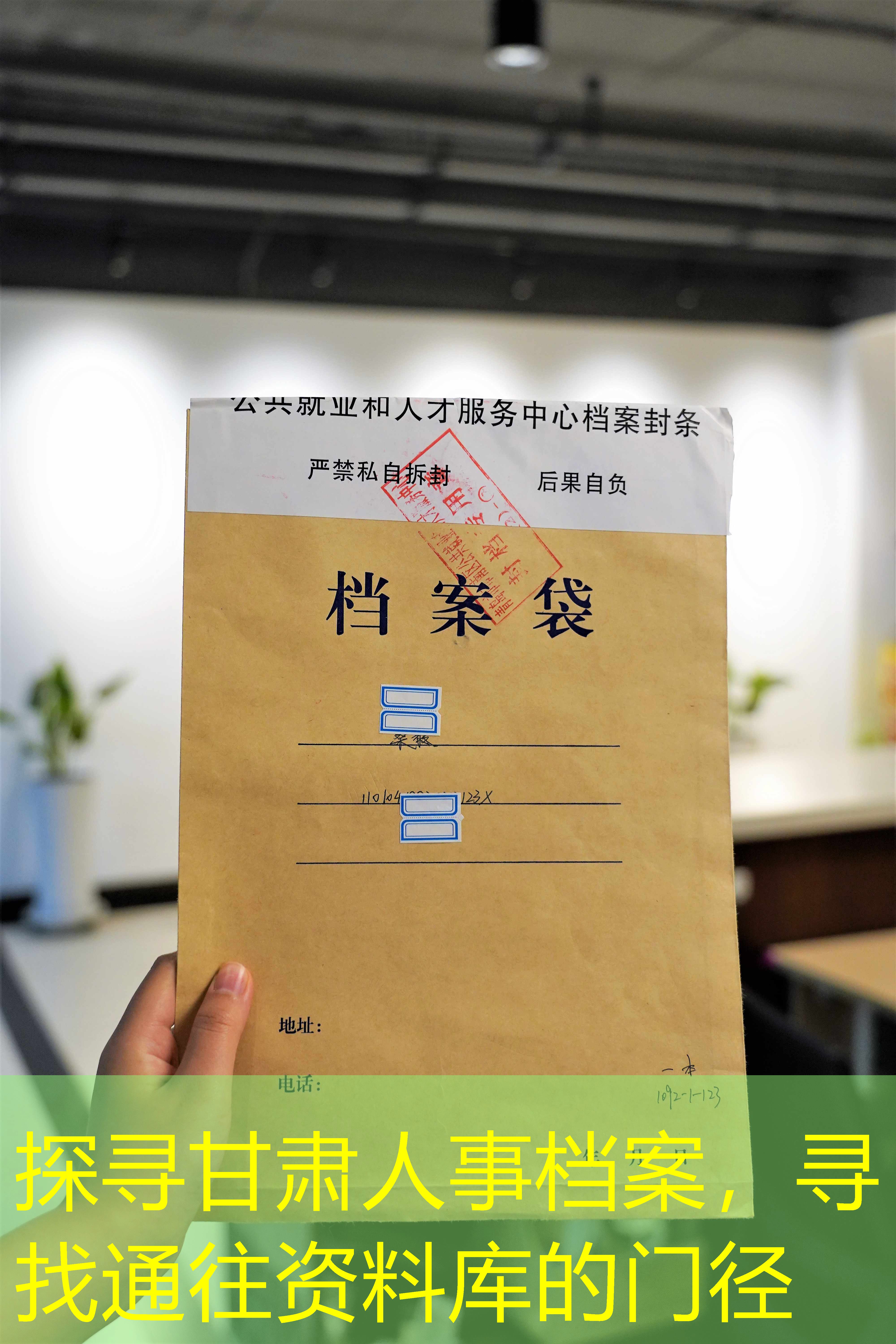 档案查询