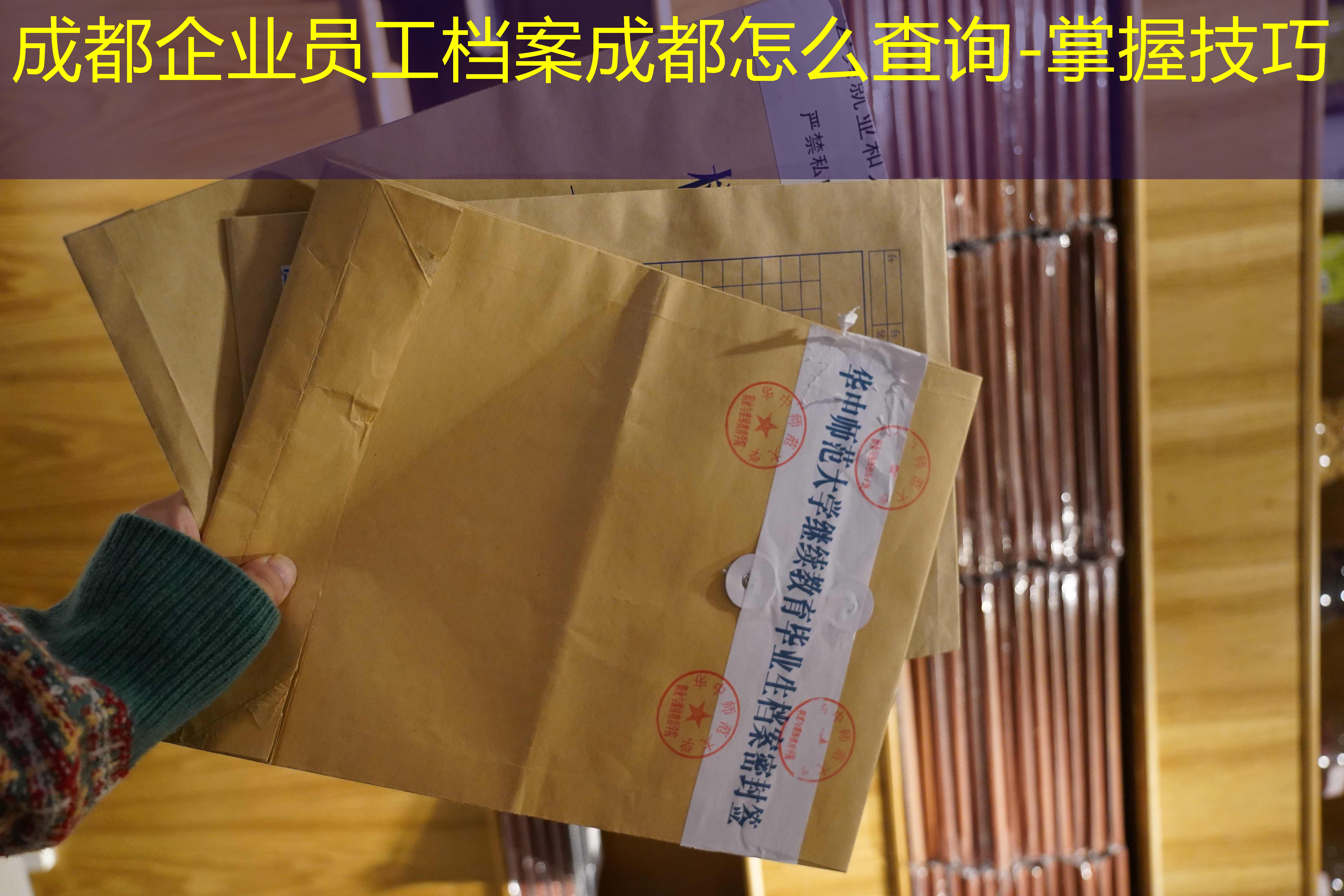 档案查询