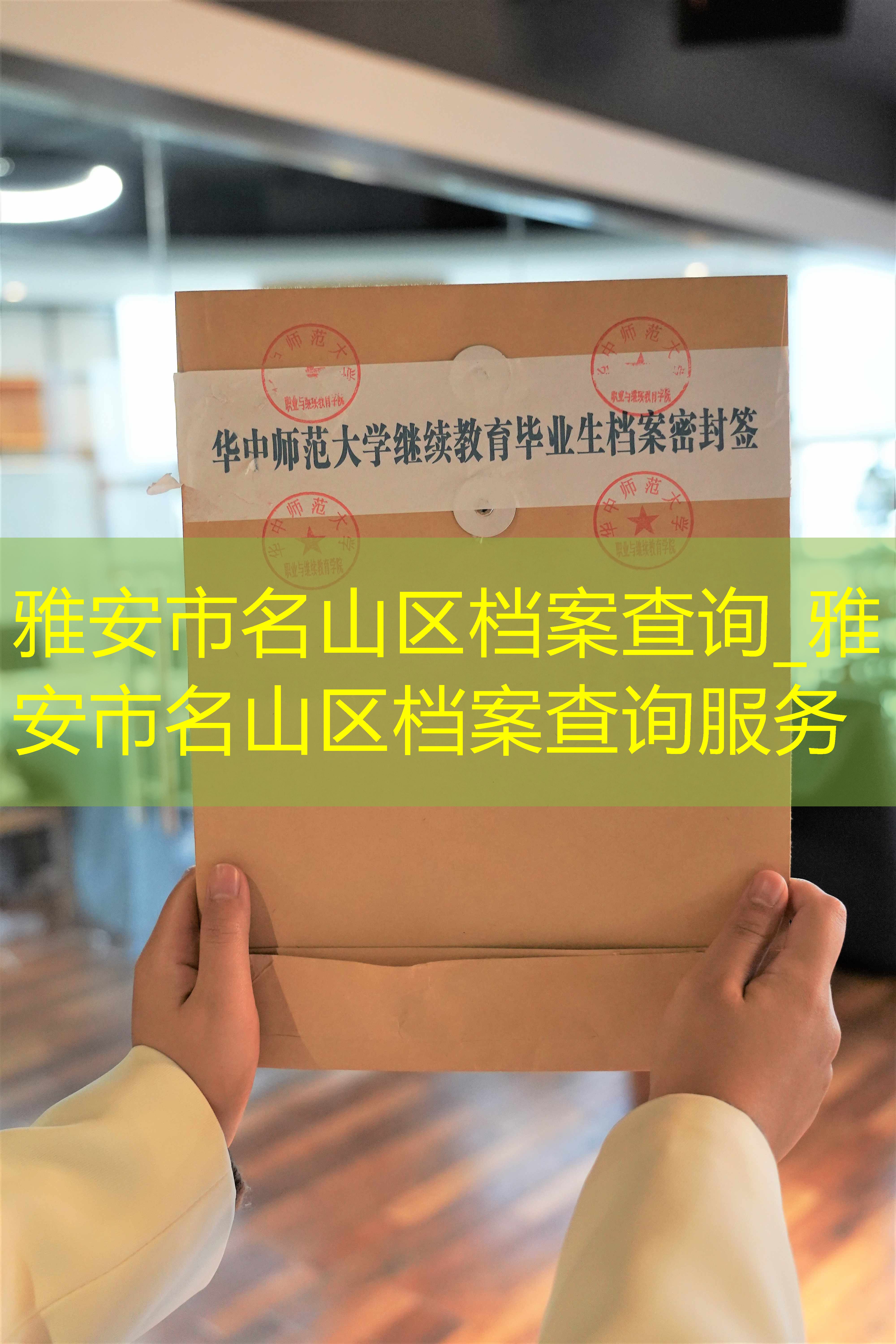 档案查询
