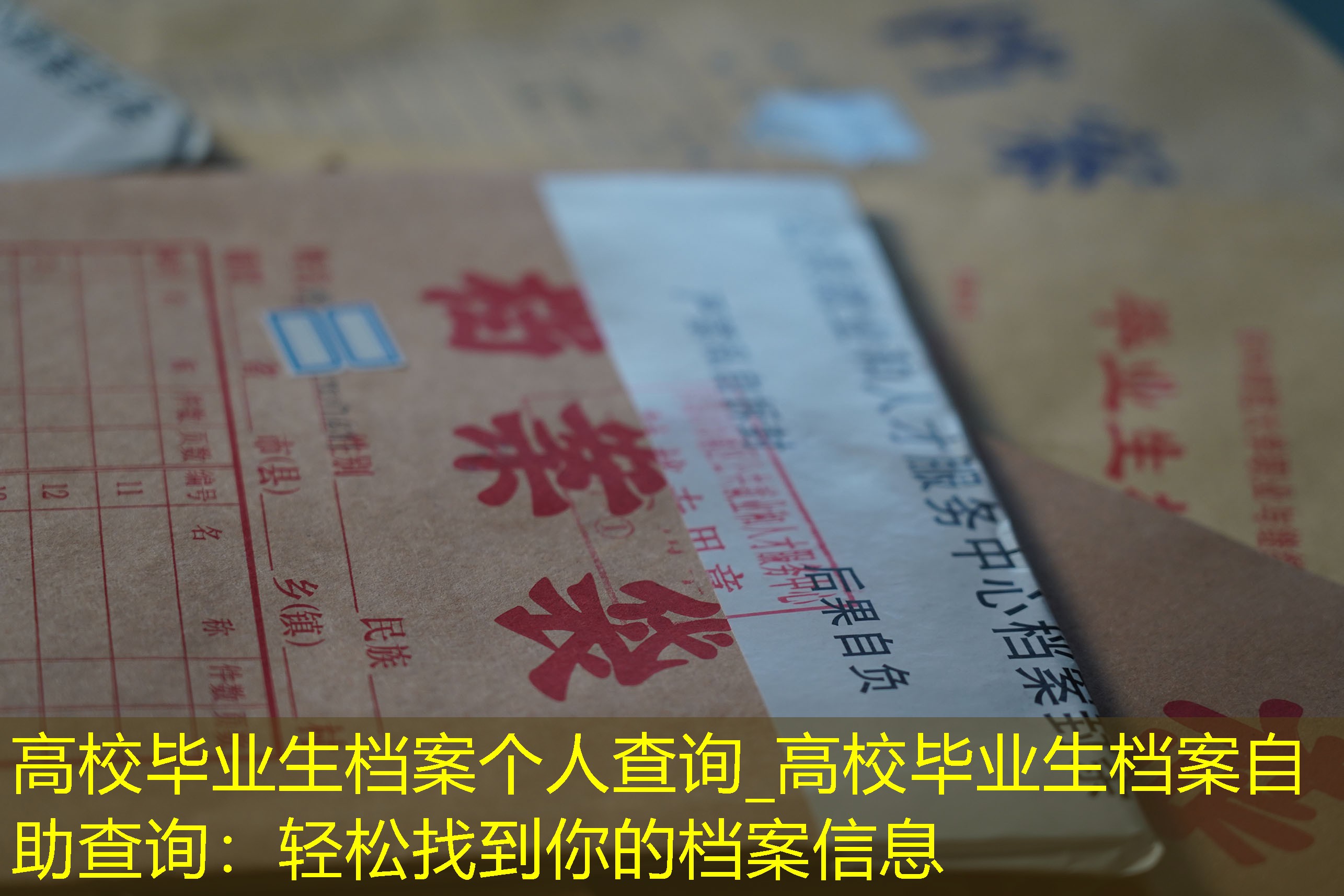 档案查询