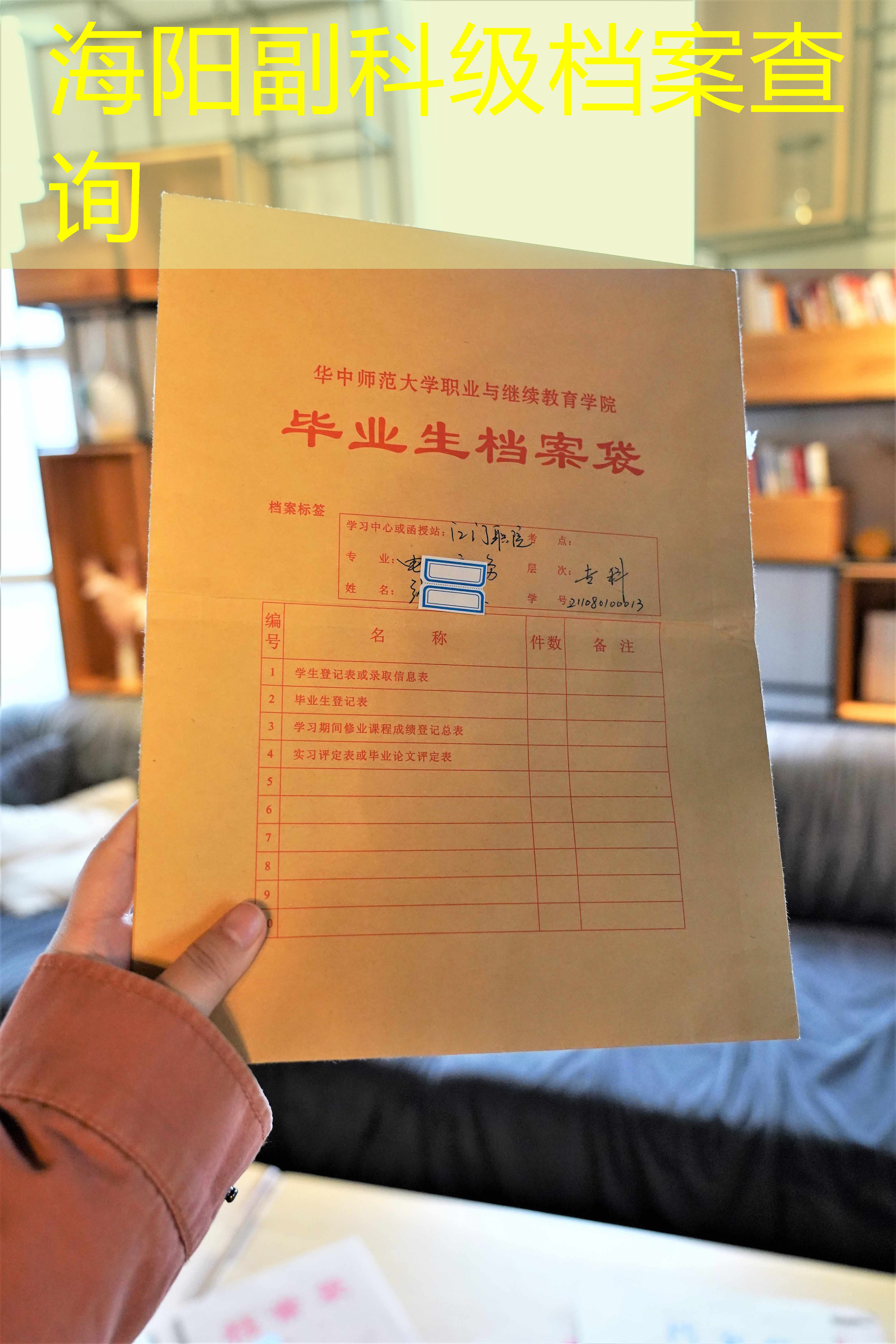 档案查询
