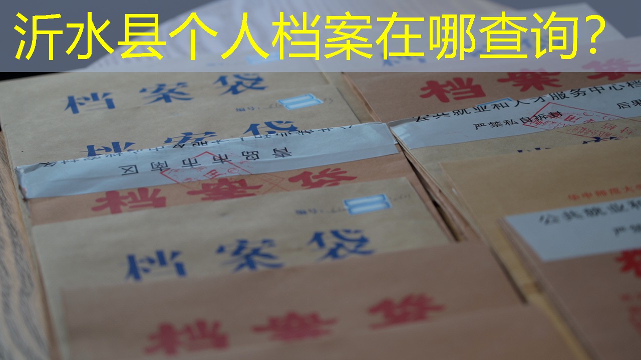 档案查询