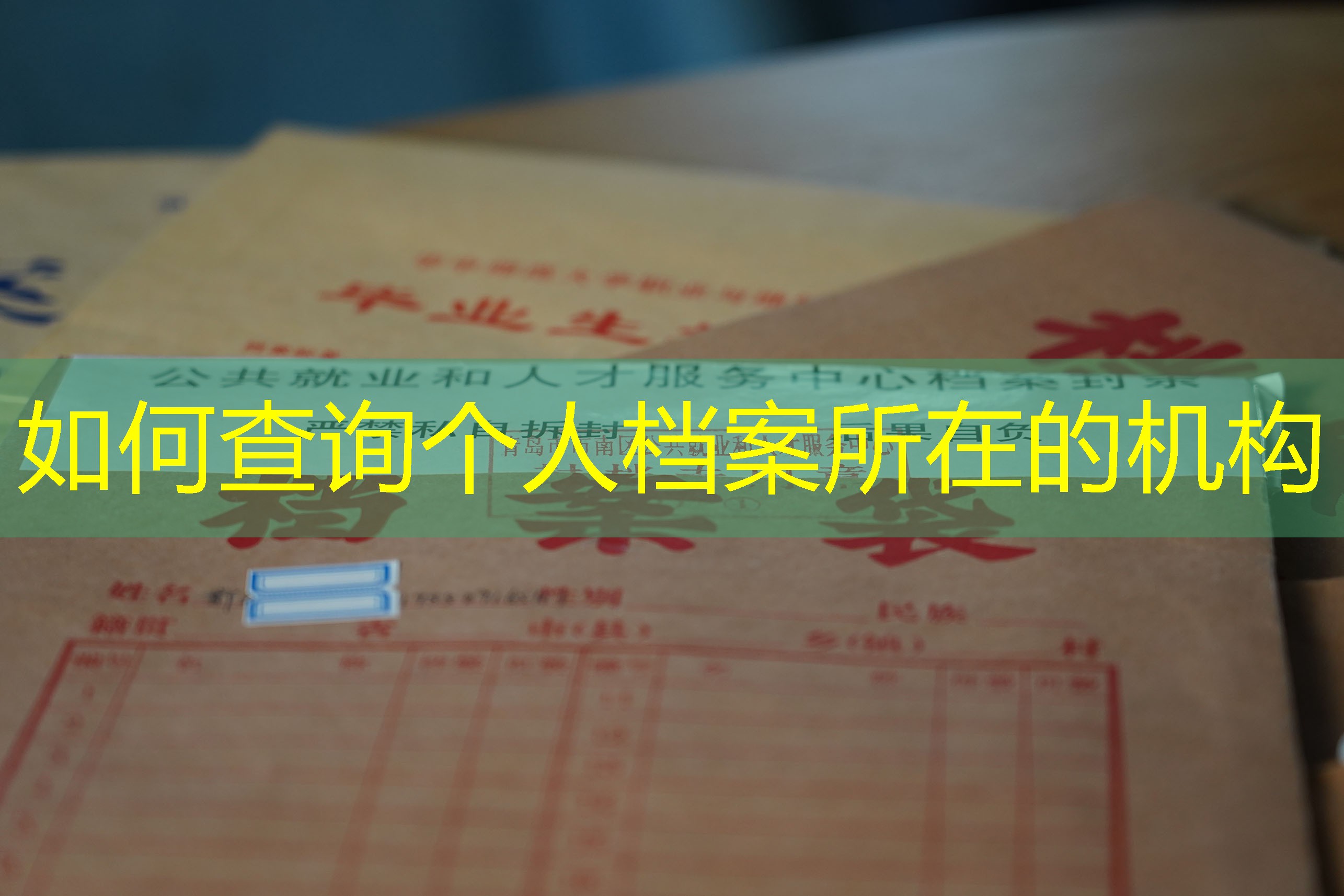 档案查询