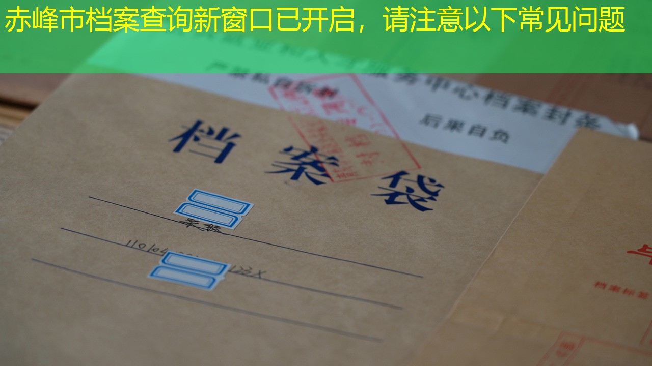 档案查询