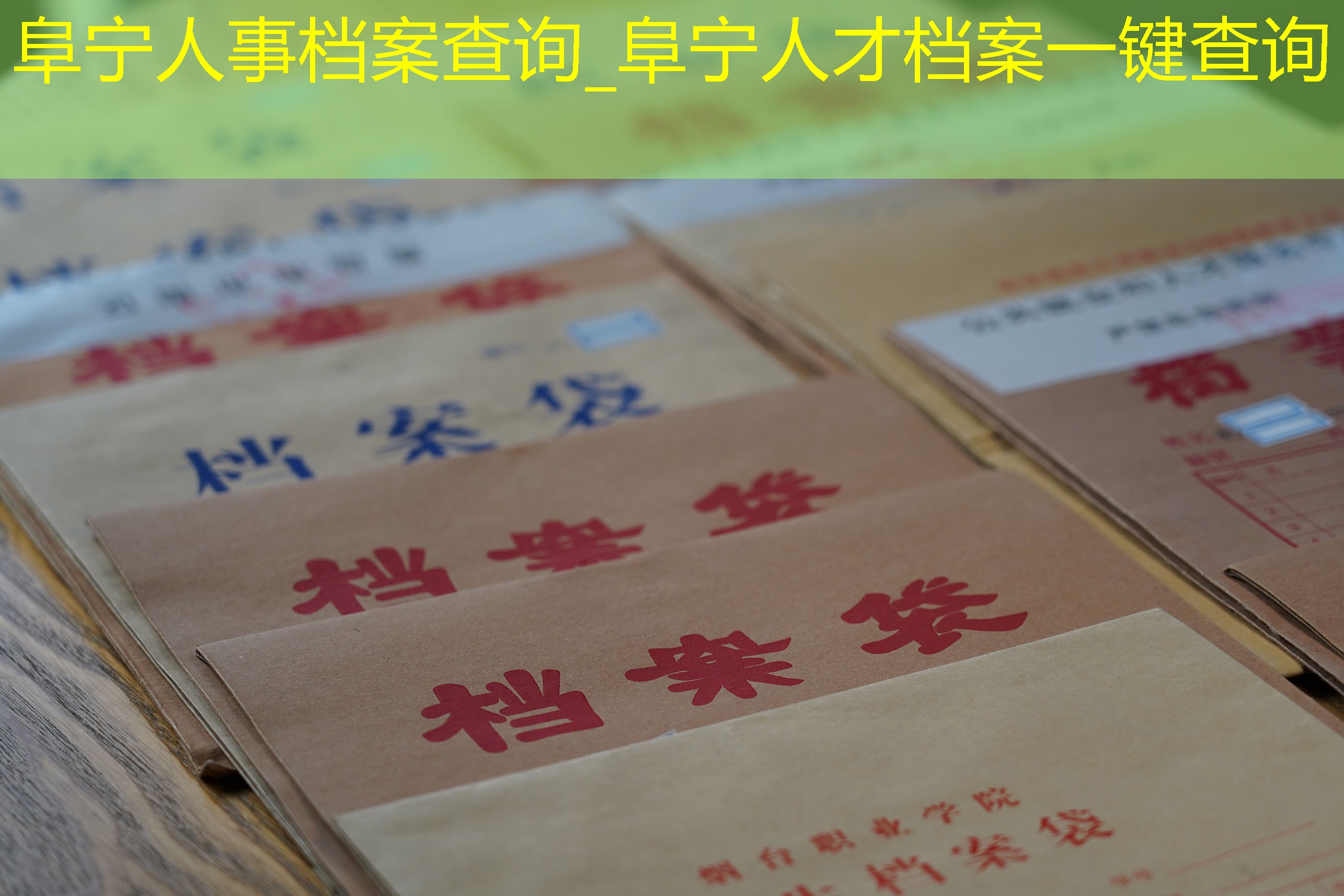 档案查询