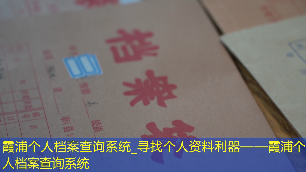 档案查询