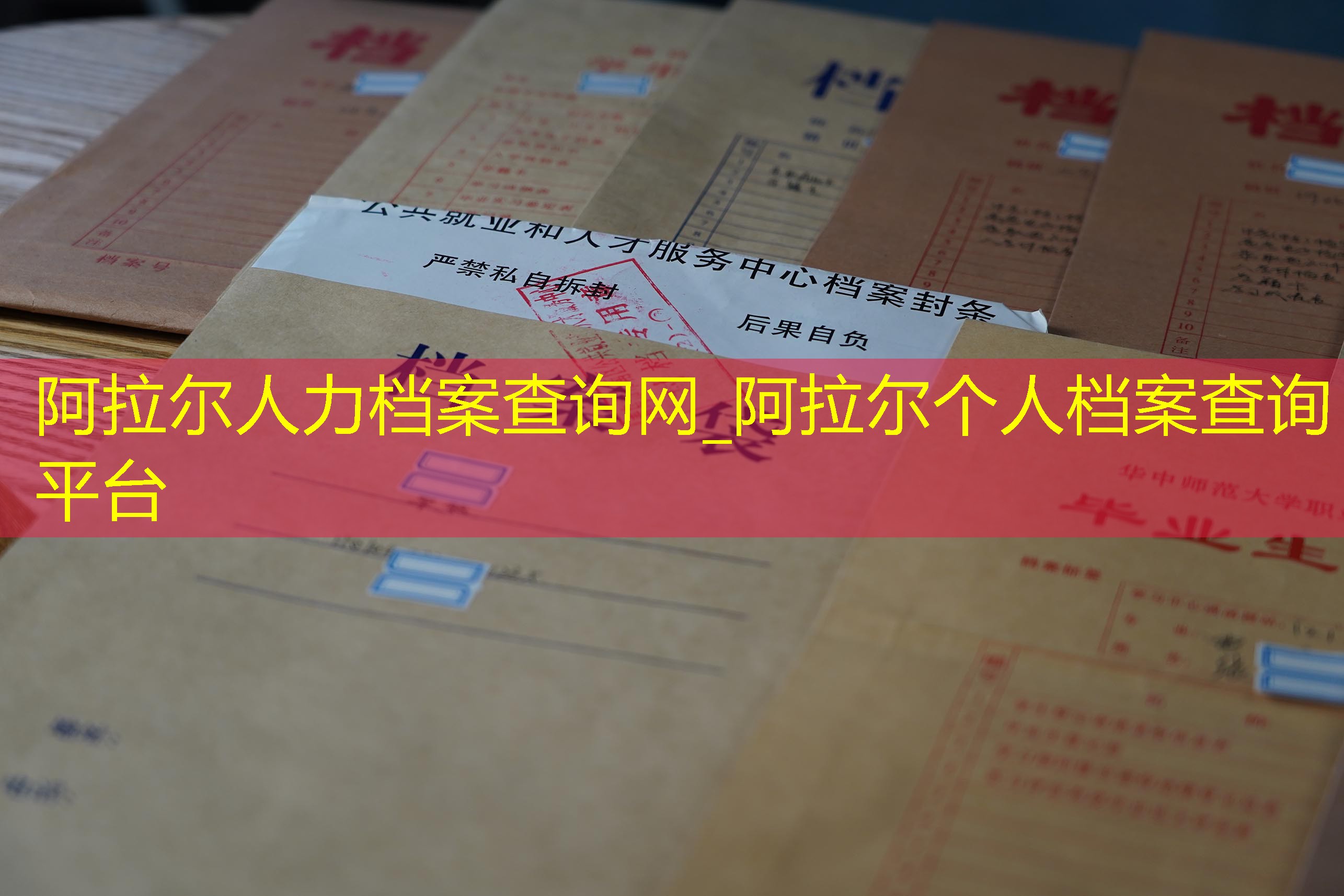 档案查询