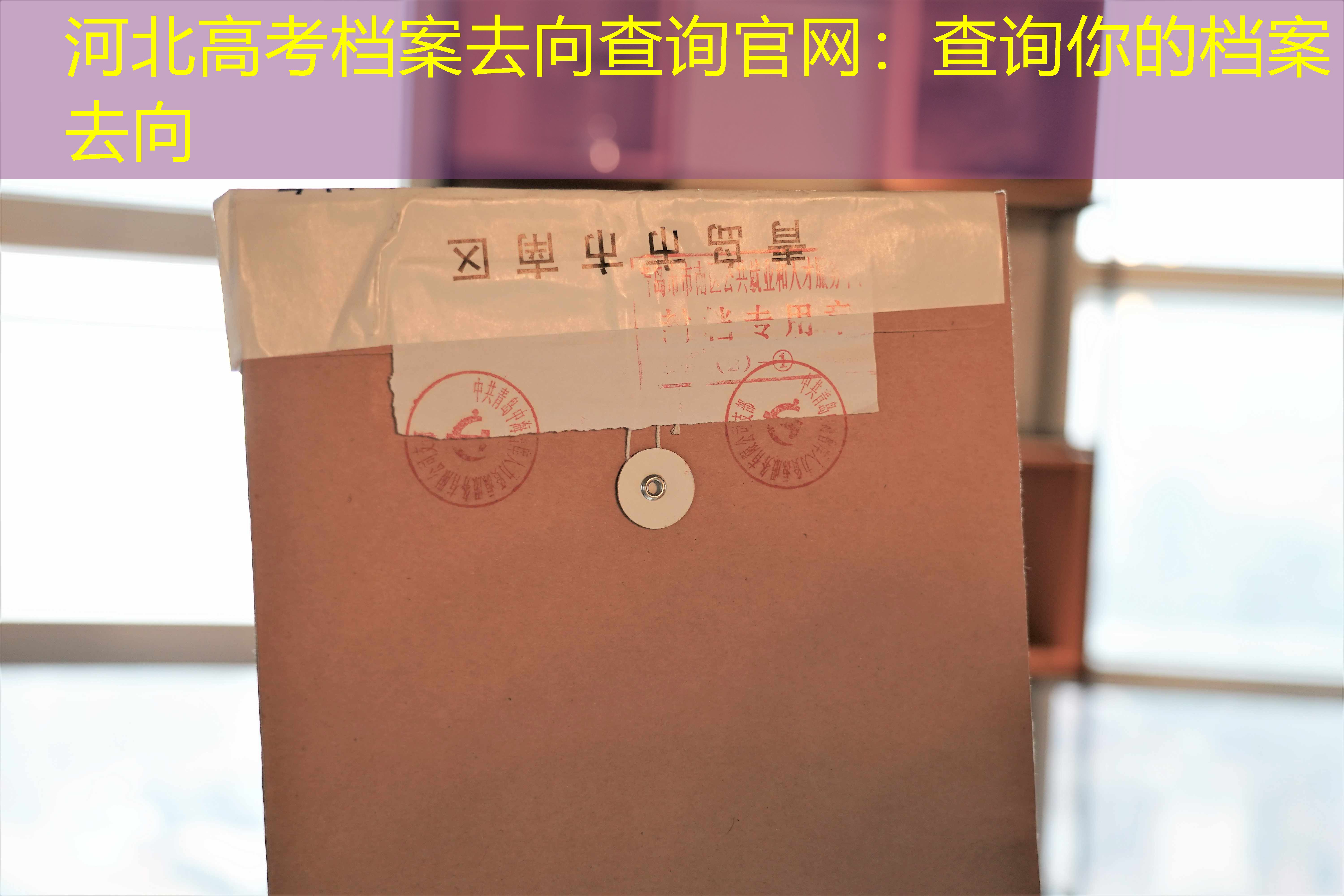 档案查询