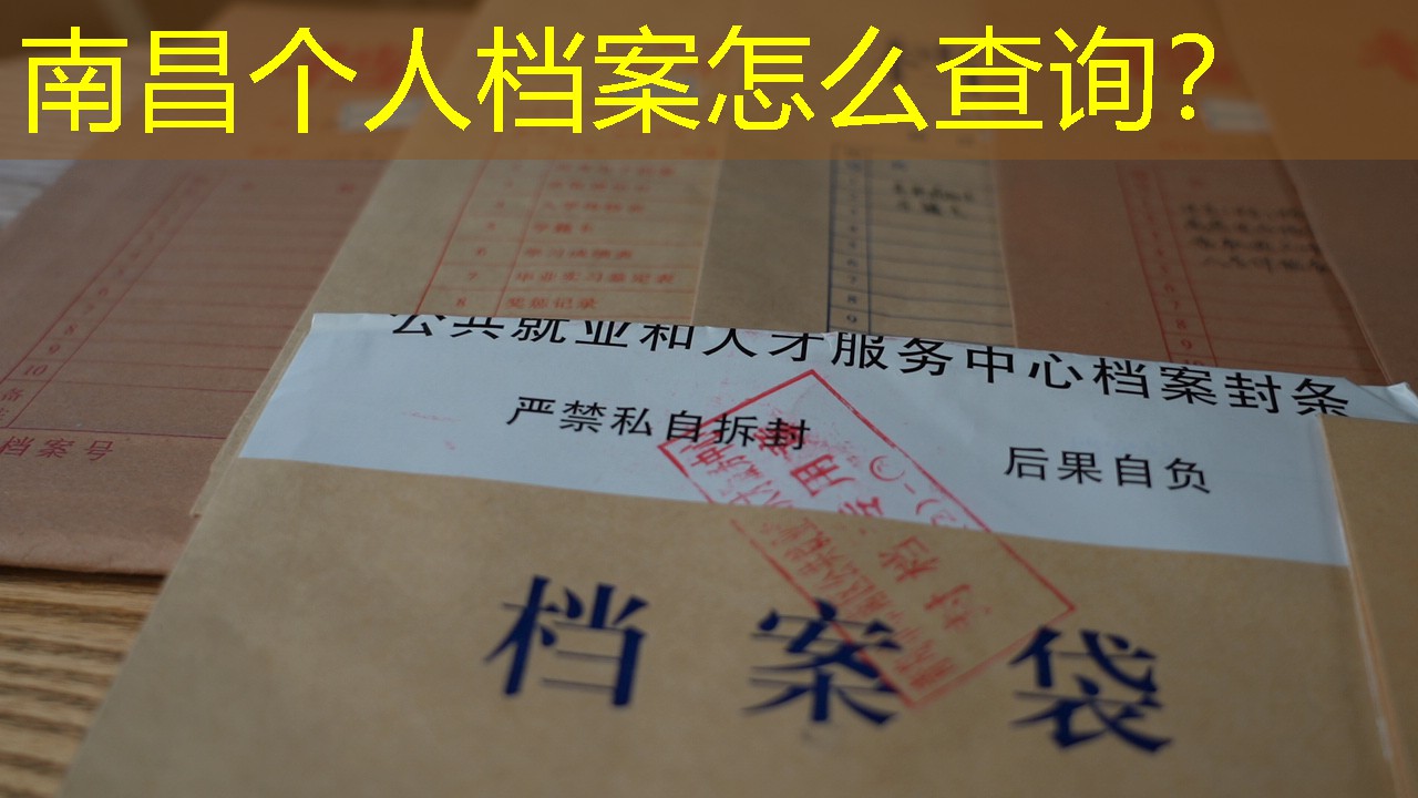 档案查询