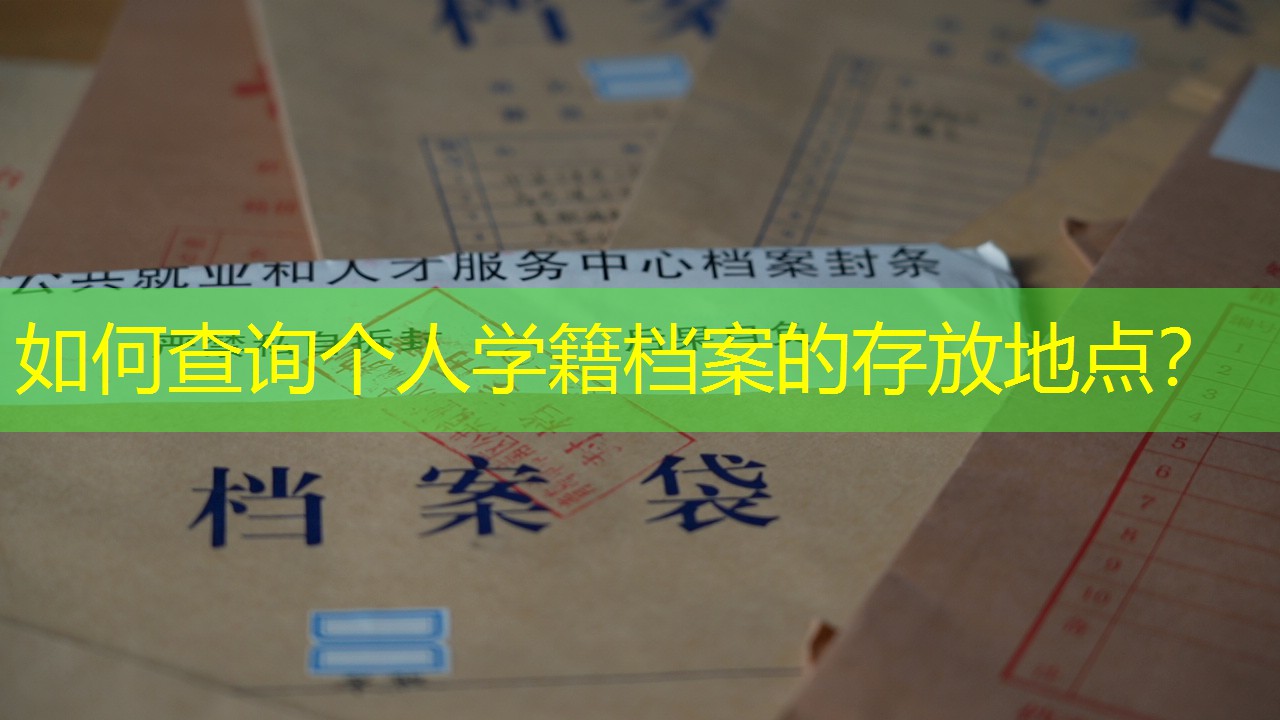 档案查询