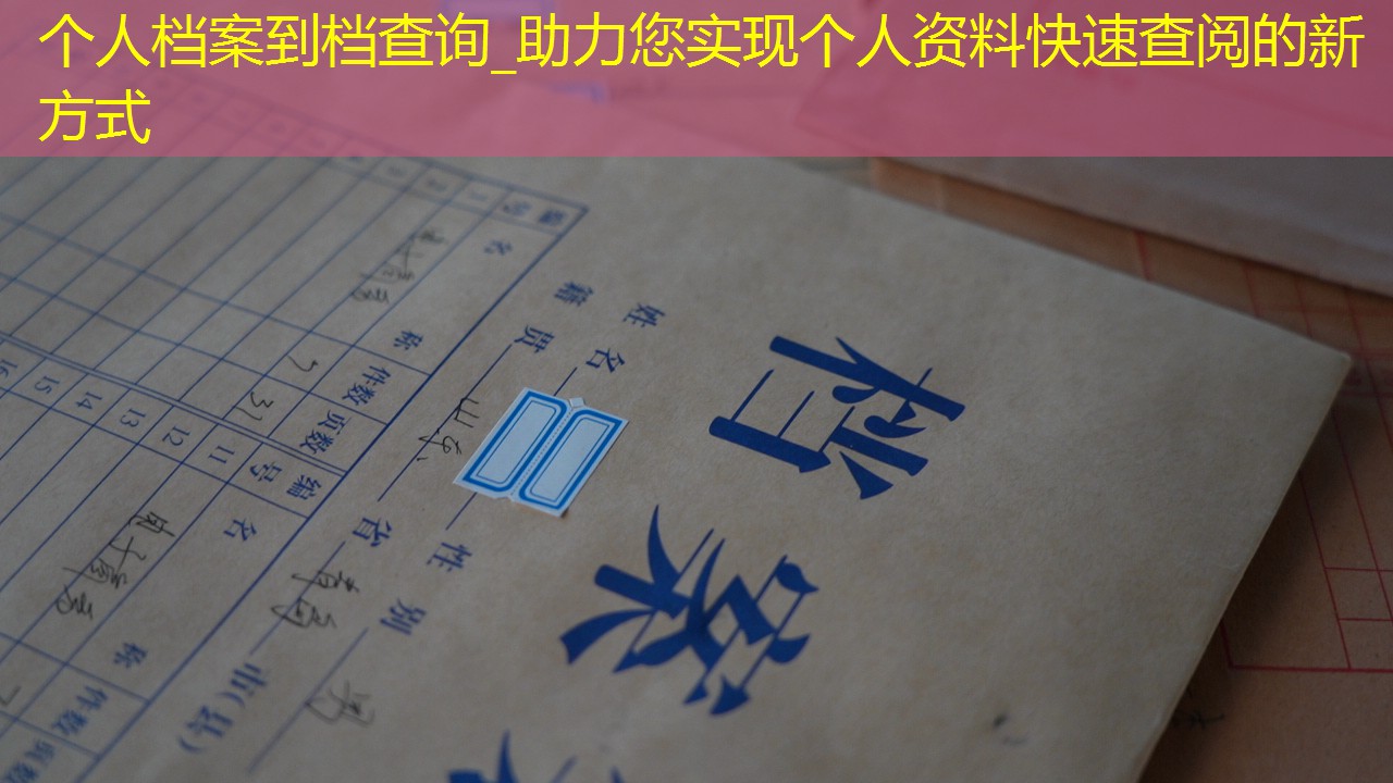 档案查询
