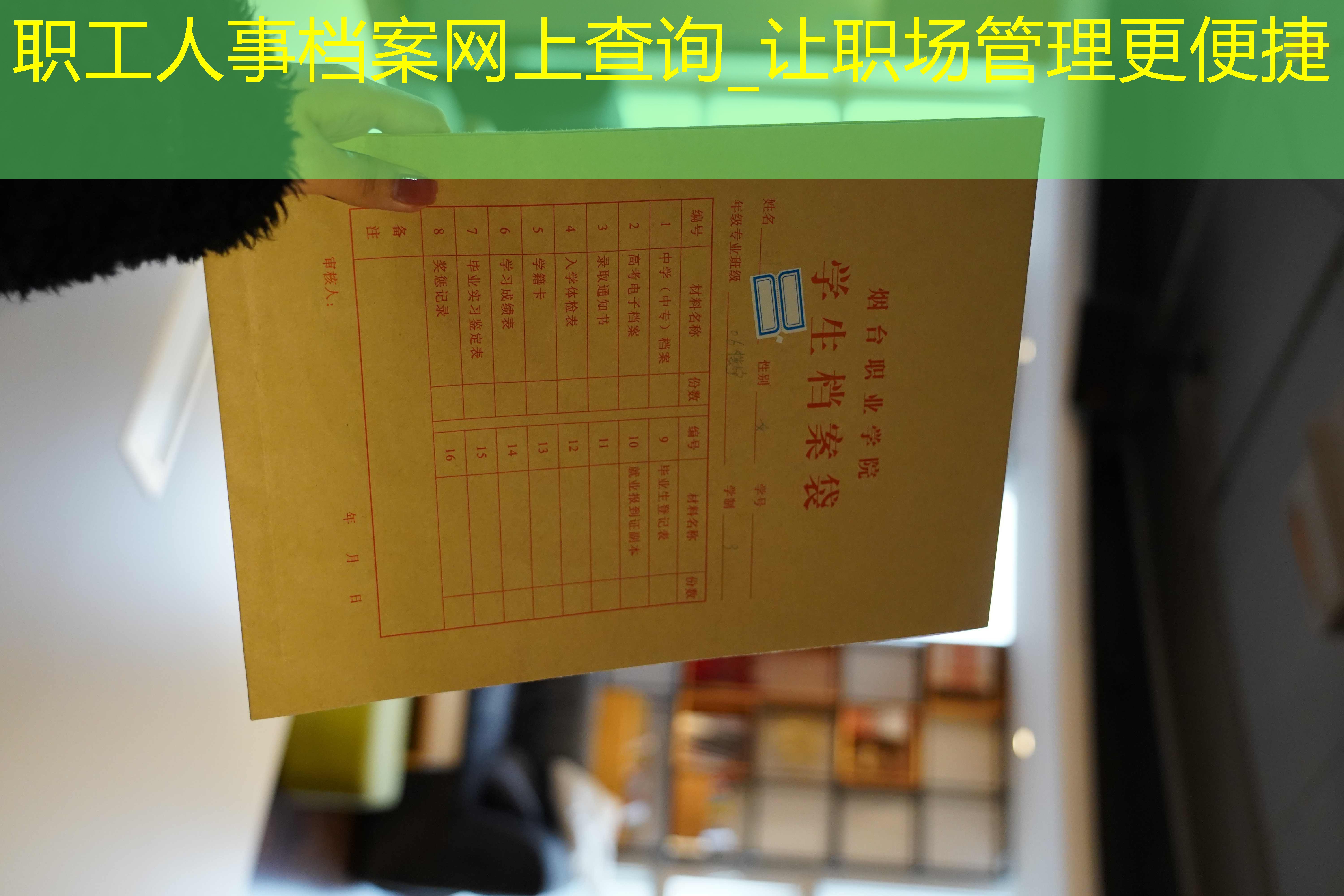 档案查询