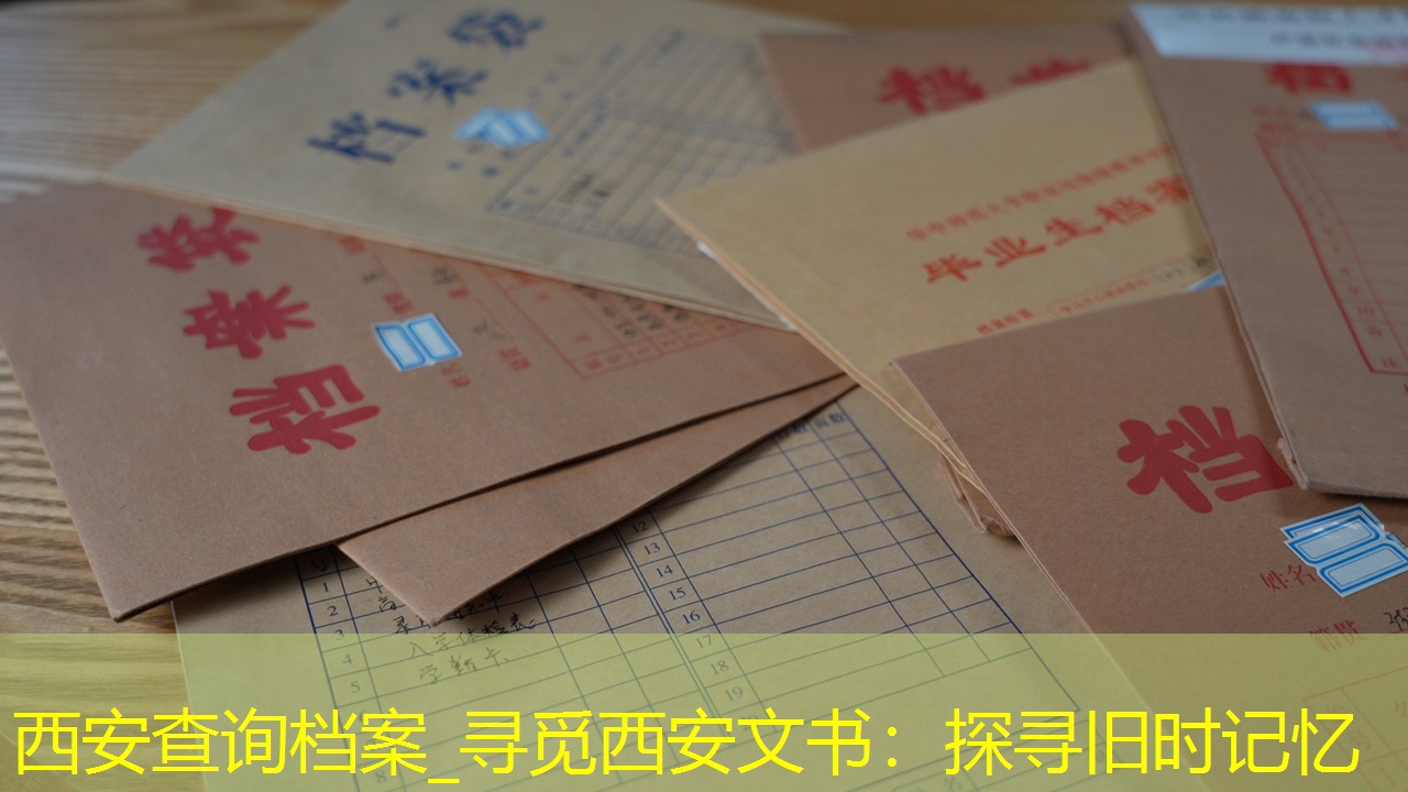 档案查询