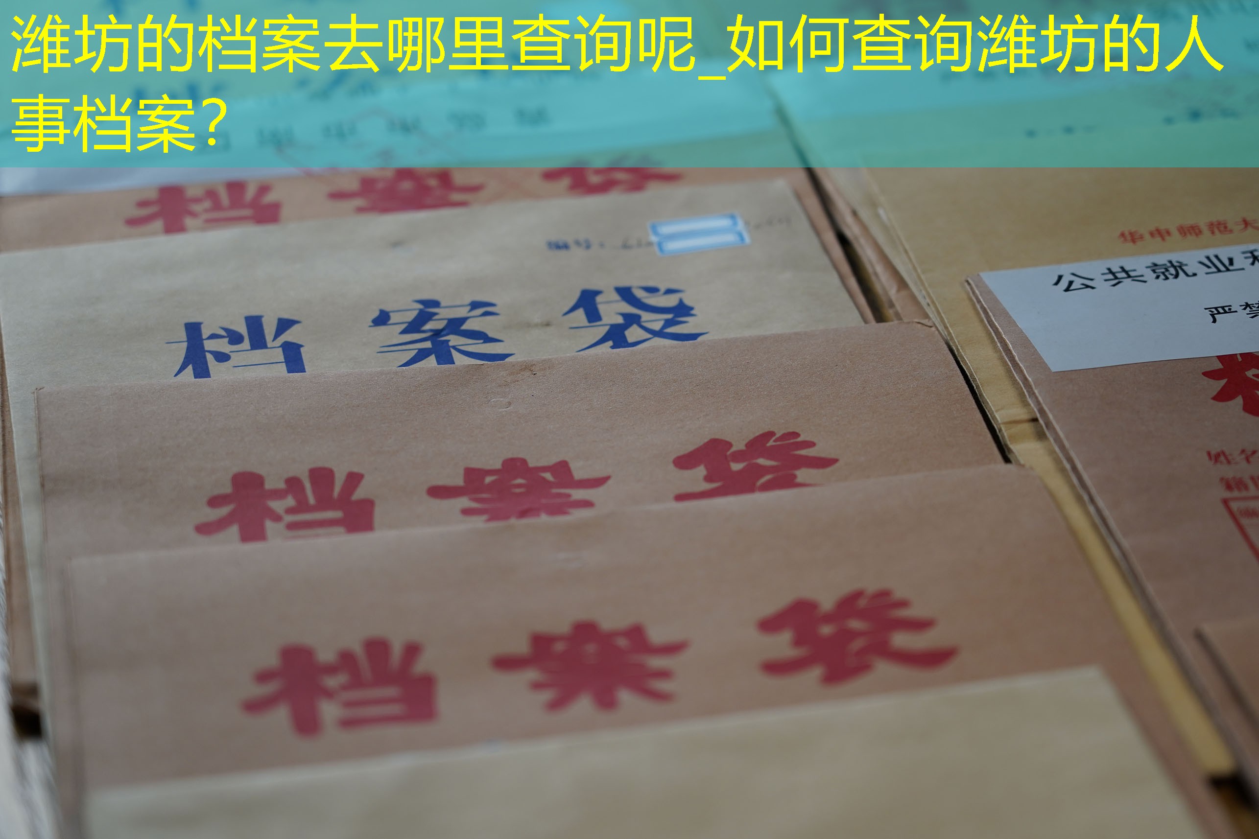 档案查询
