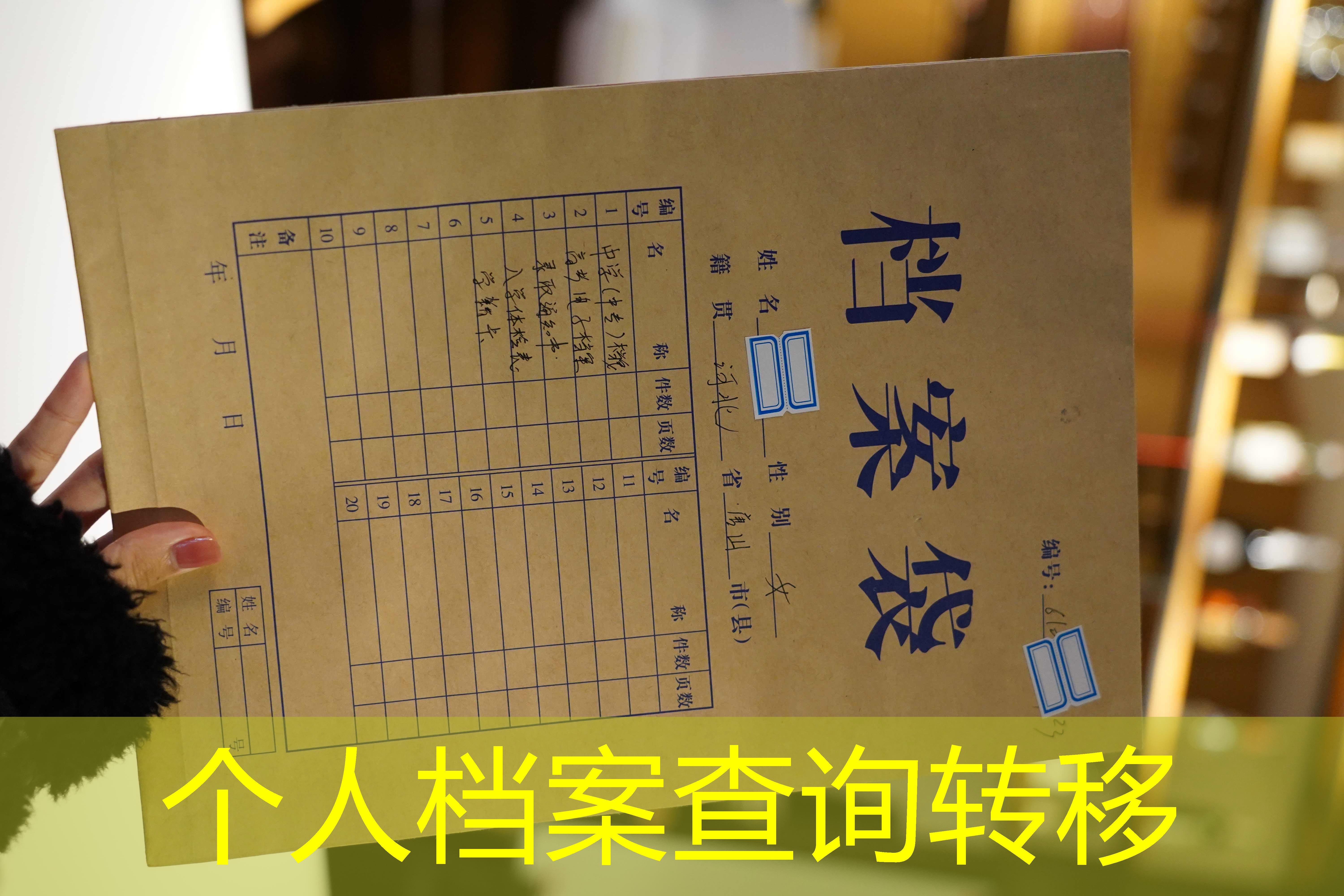 档案查询