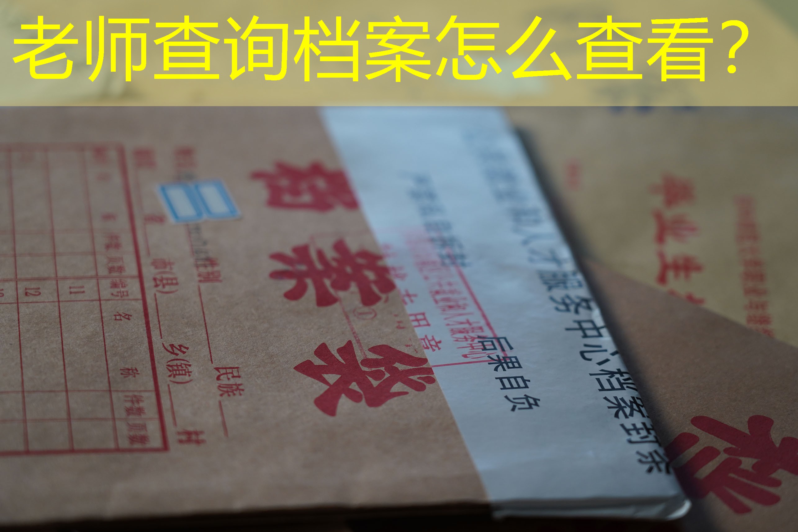档案查询