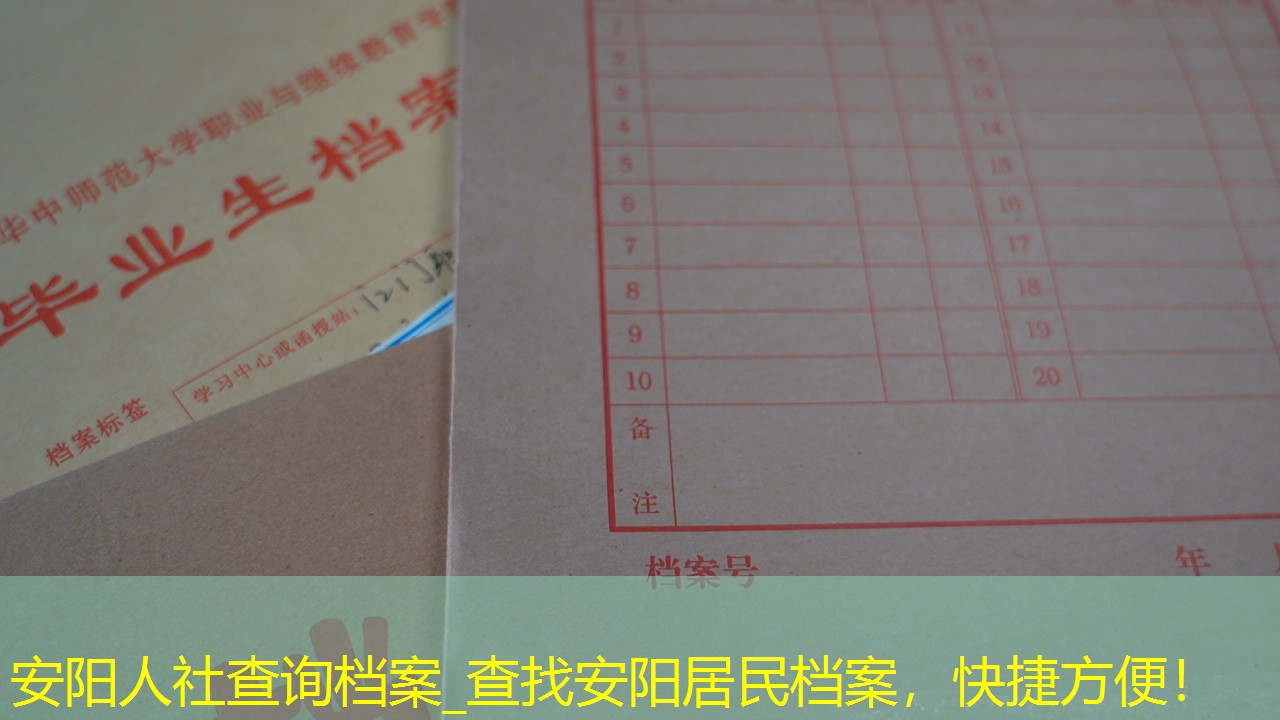 档案查询