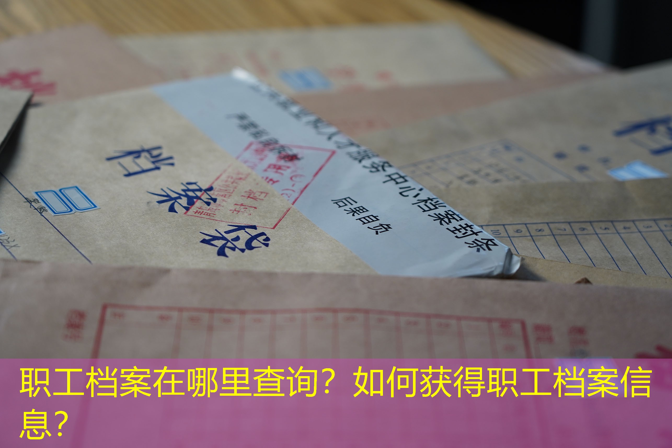 档案查询