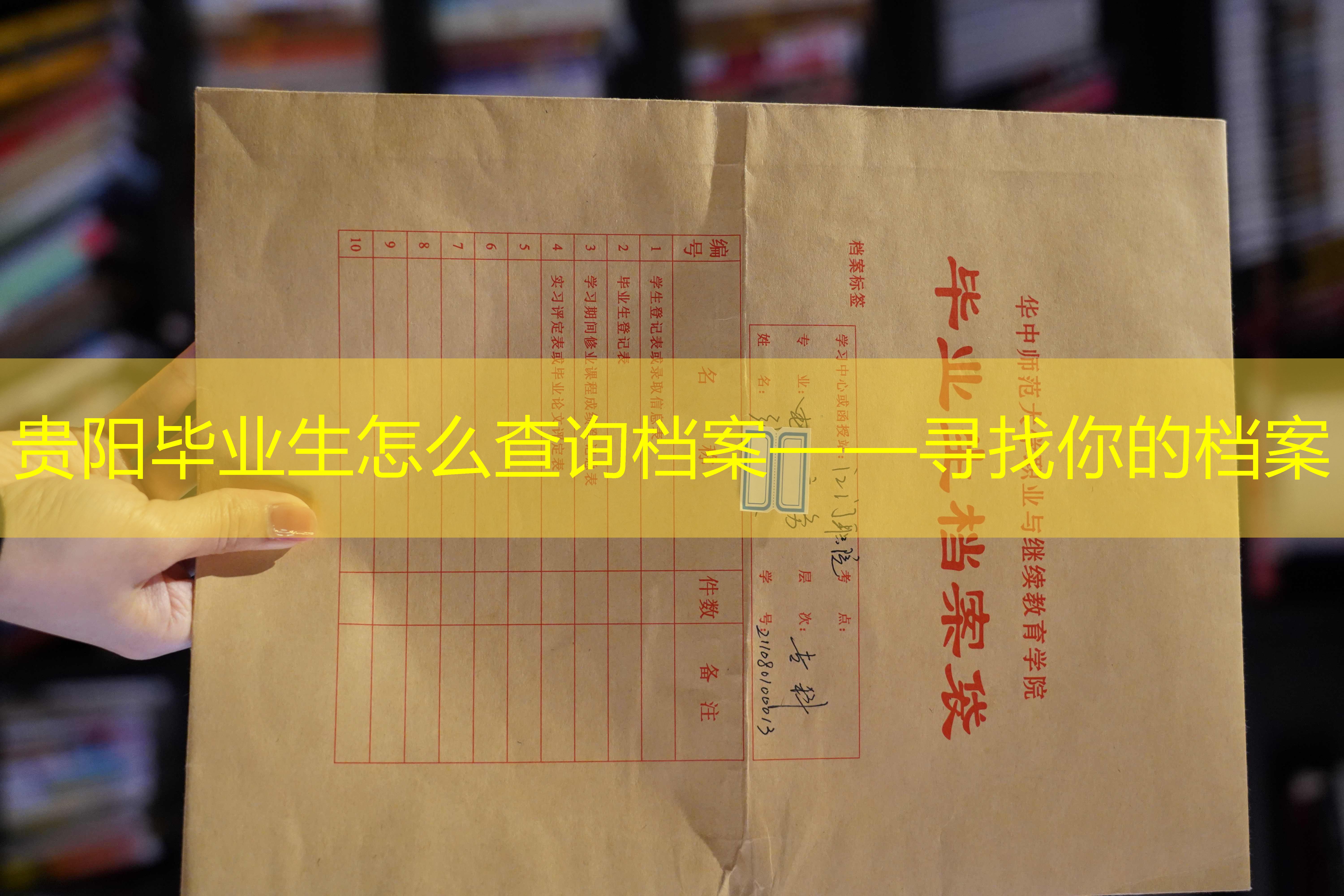 档案查询