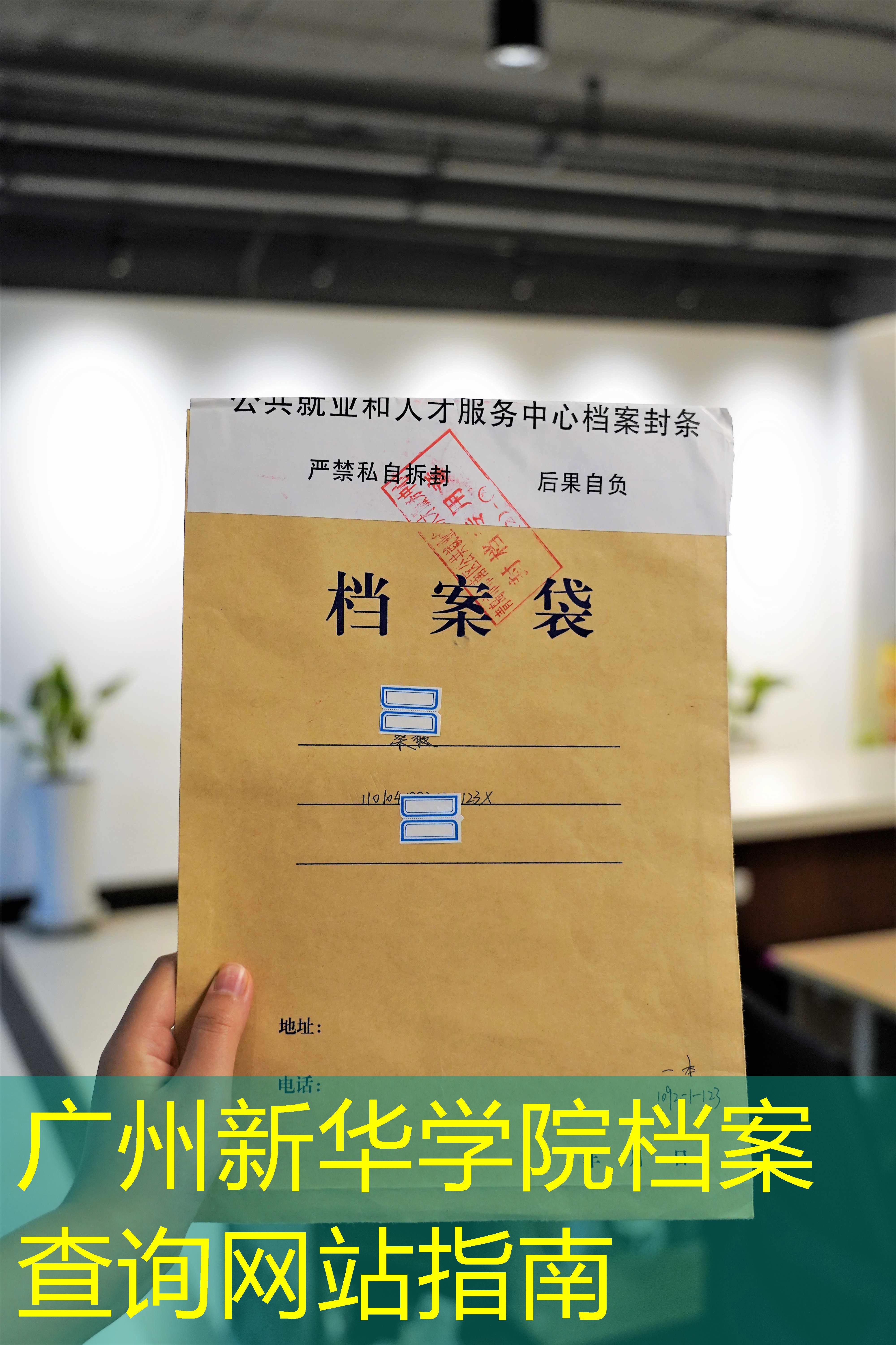 档案查询