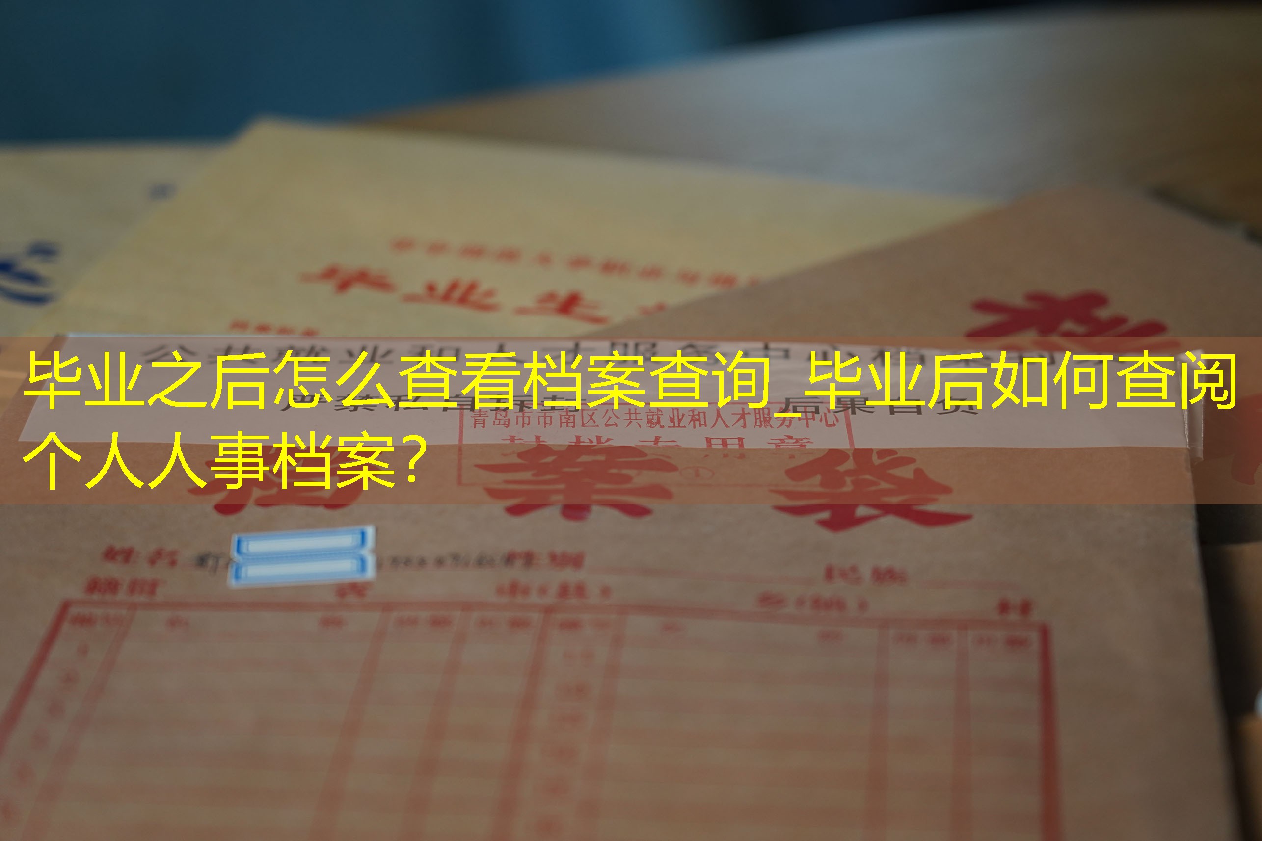 档案查询