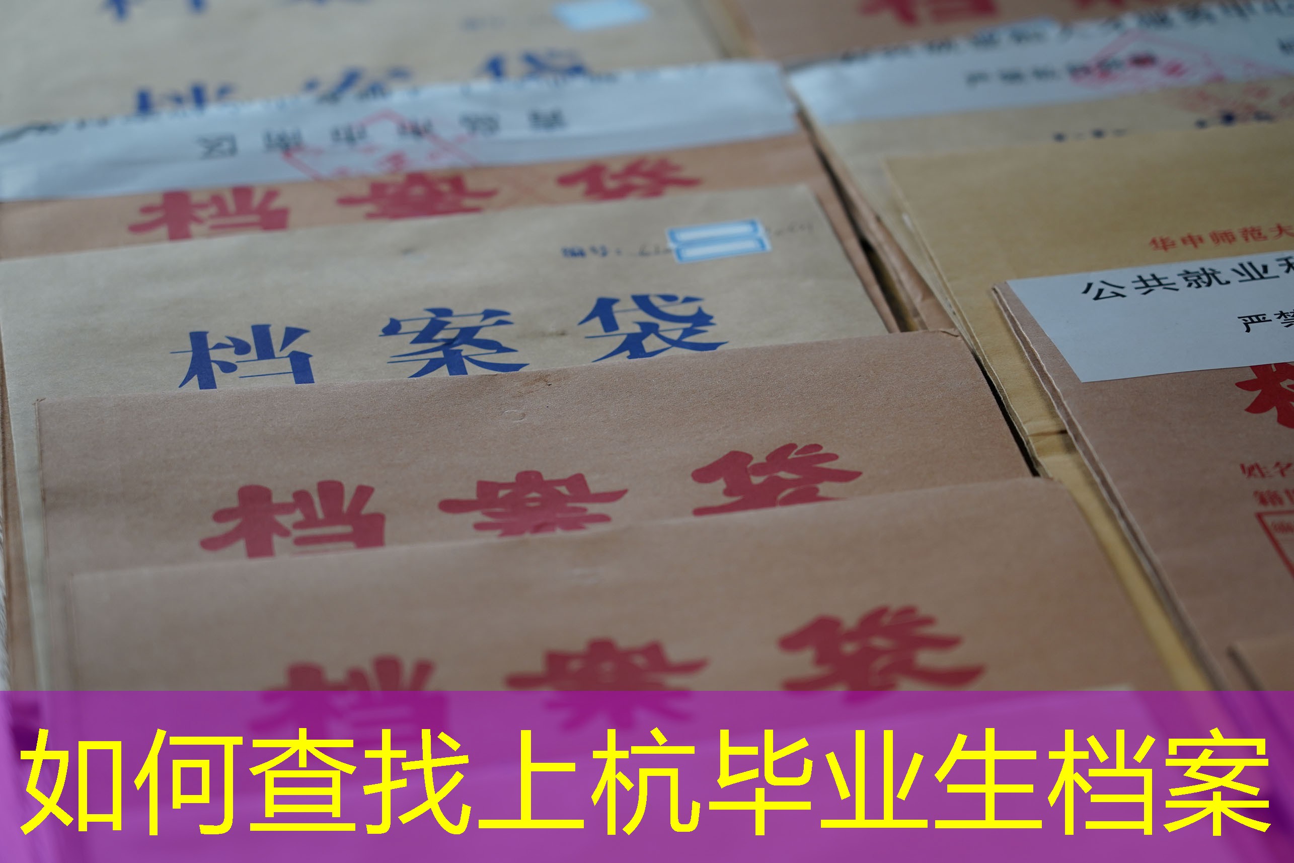 档案查询