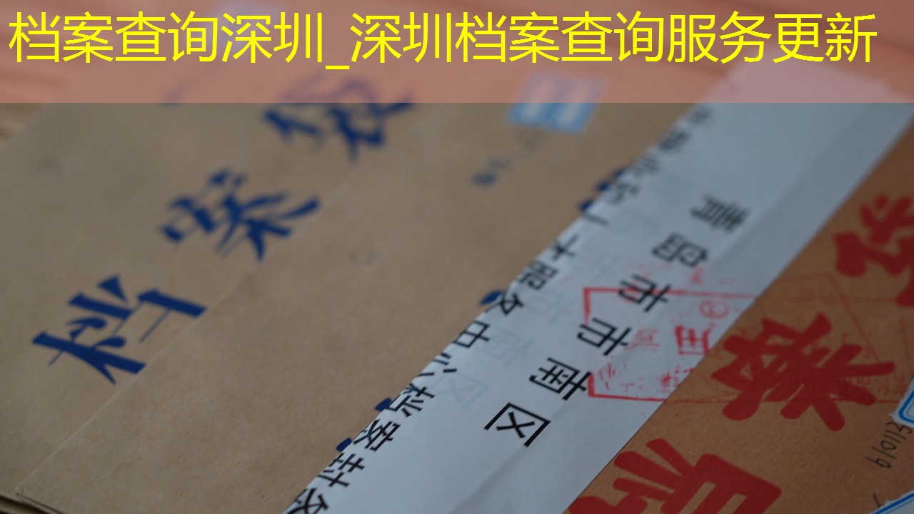 档案查询