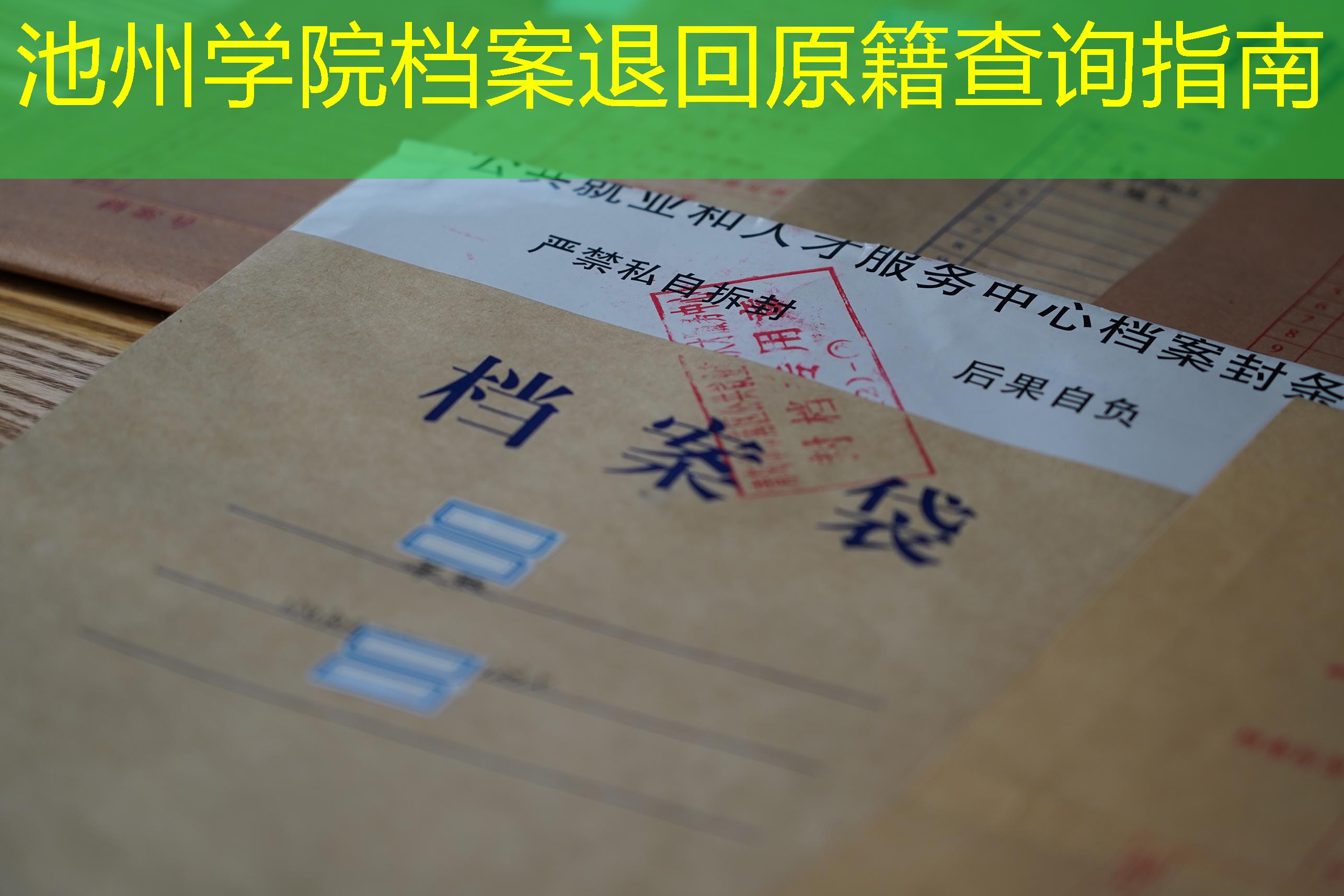 档案查询
