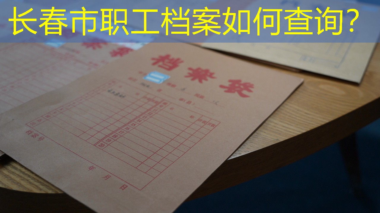 档案查询