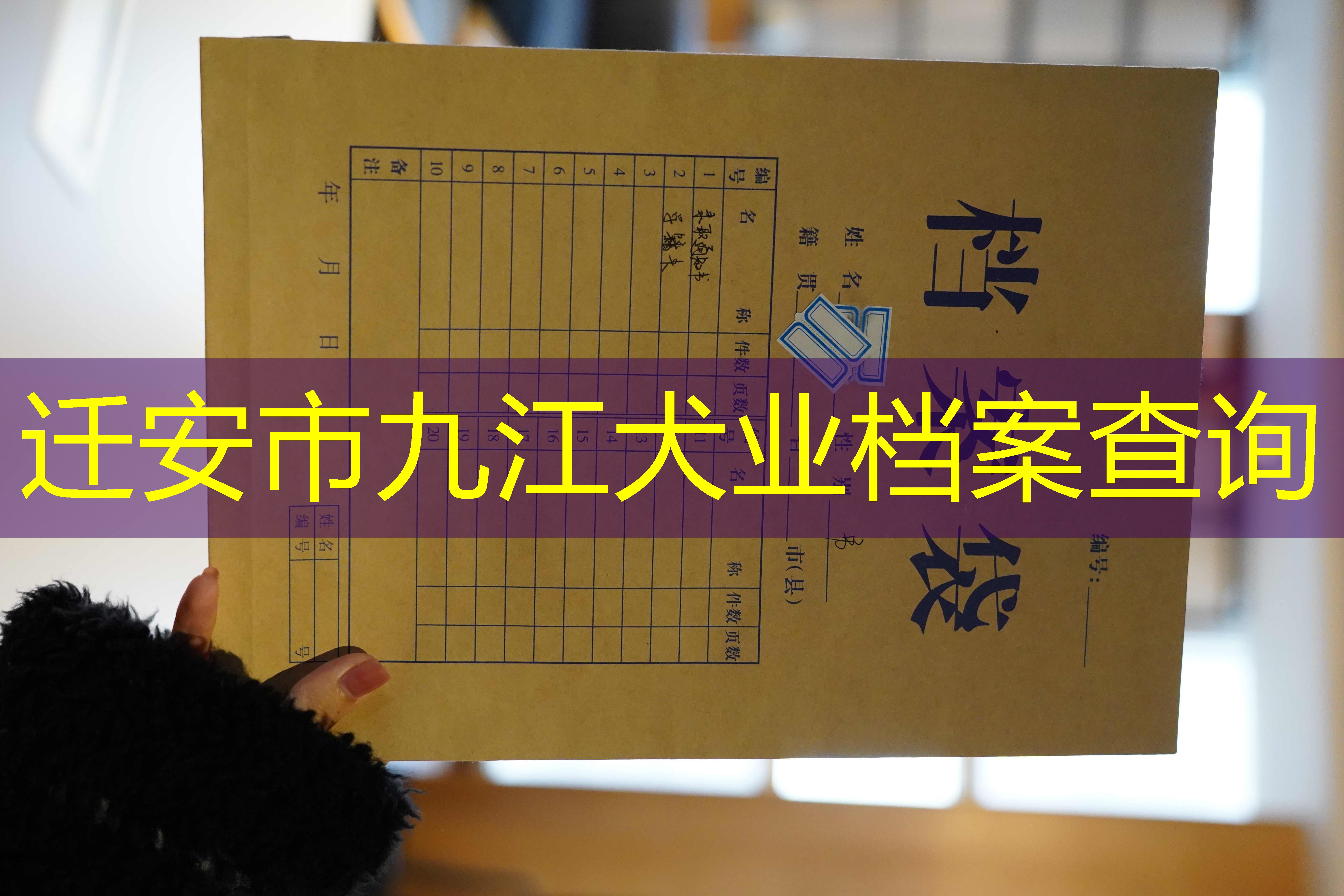 档案查询