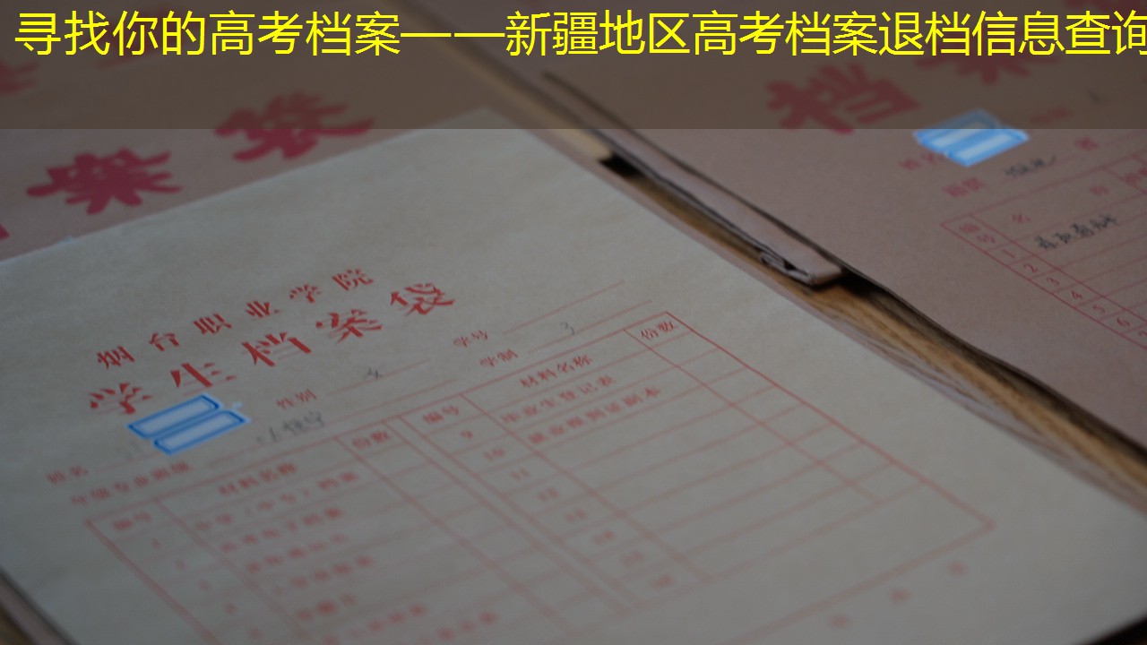 档案查询