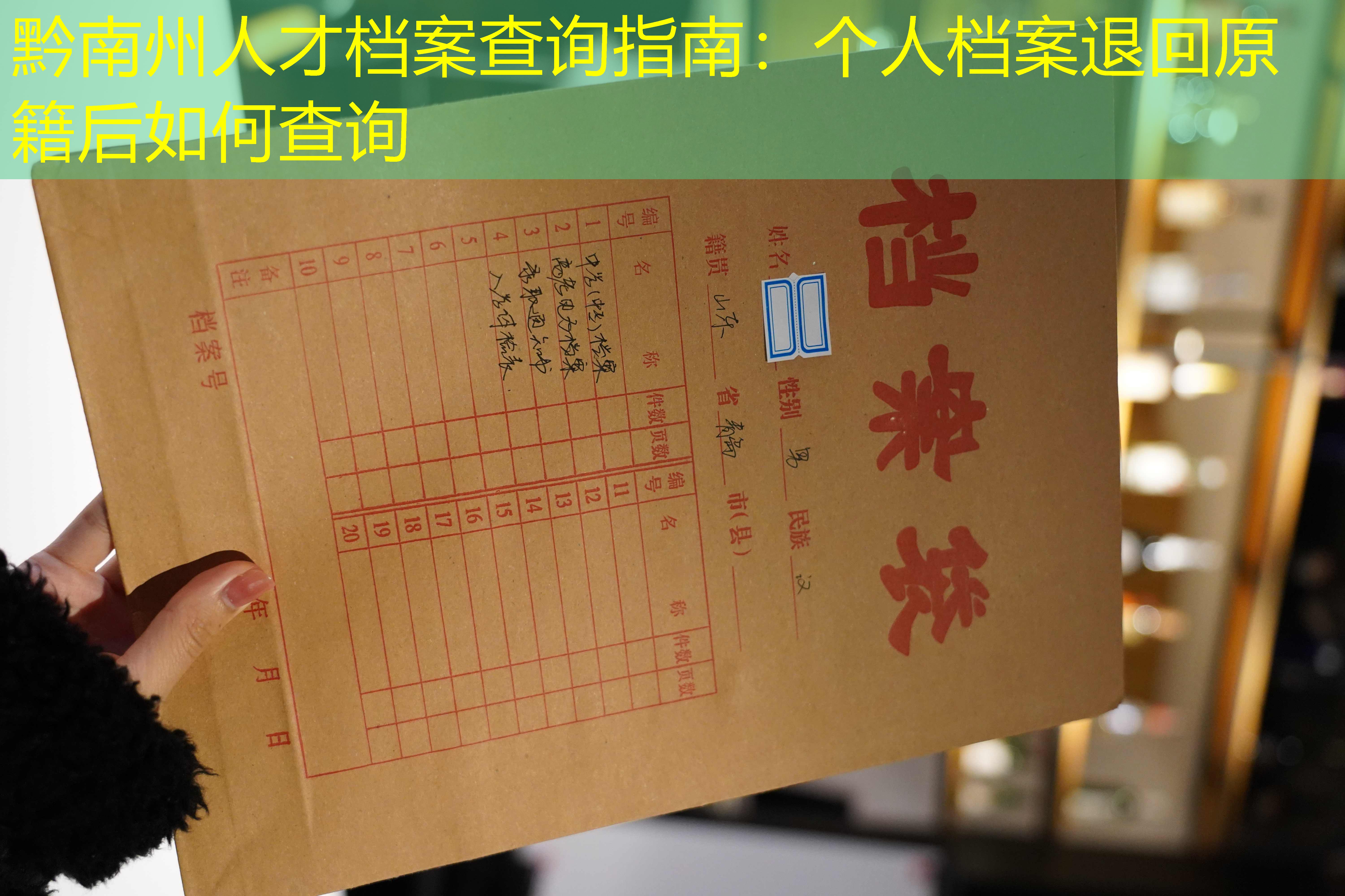 档案查询