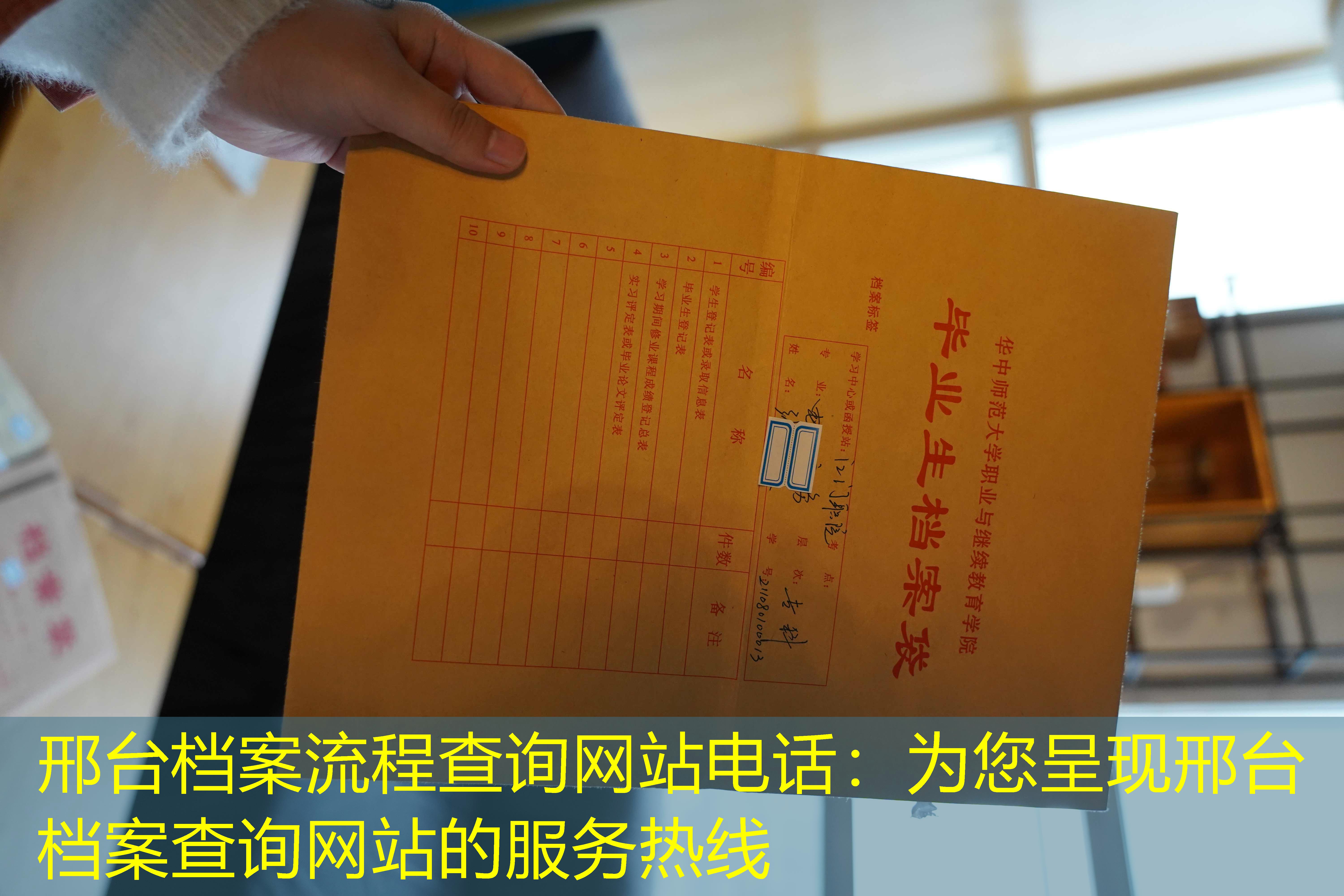 档案查询