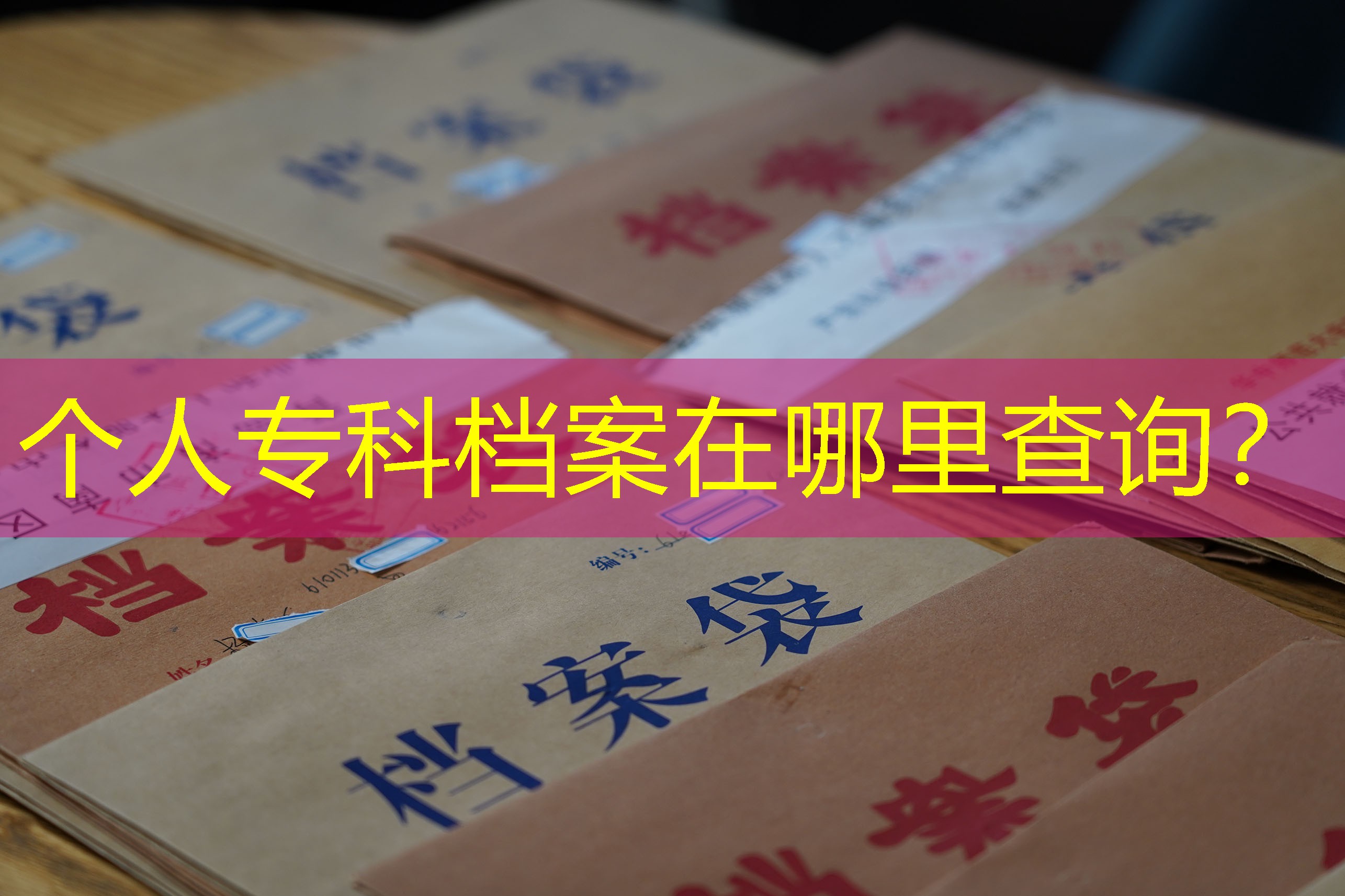 档案查询