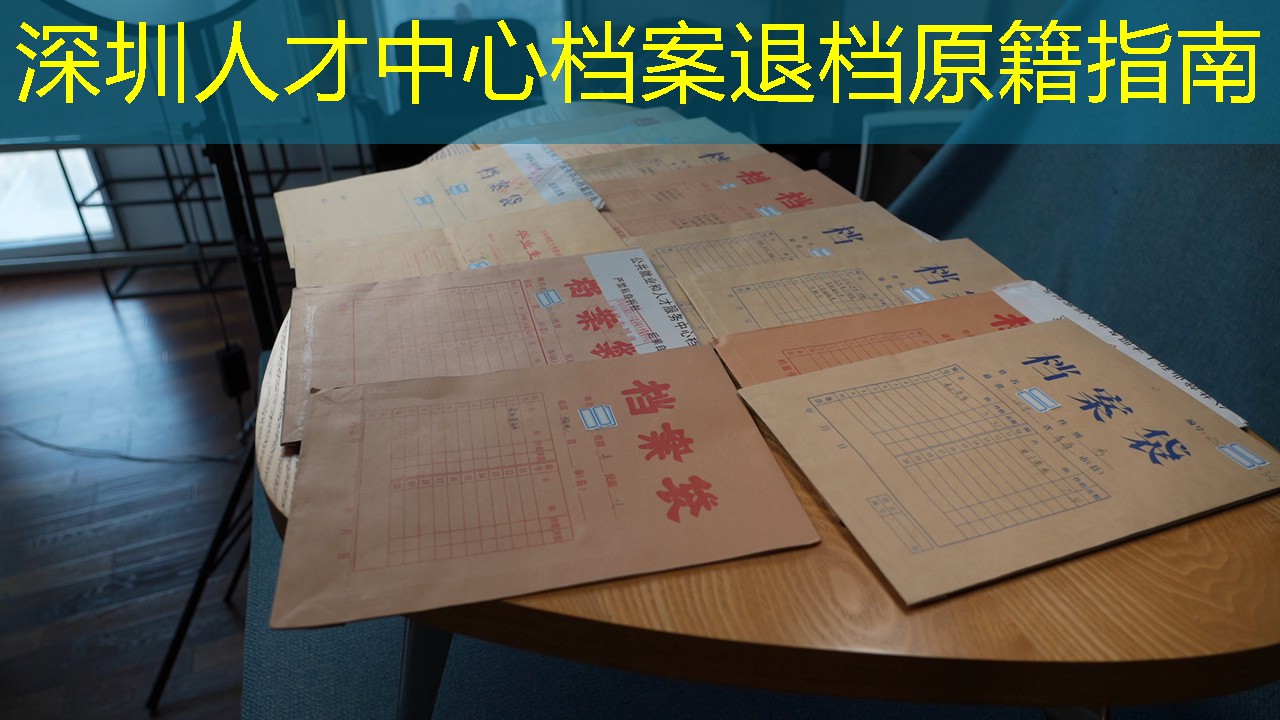 档案查询