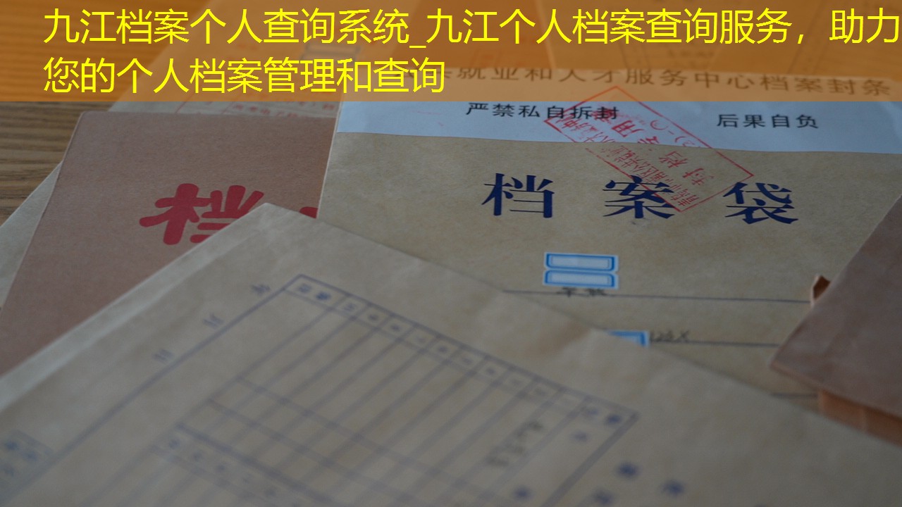 档案查询