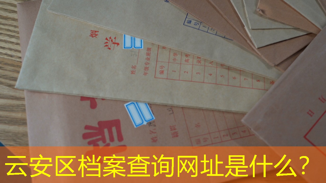 档案查询