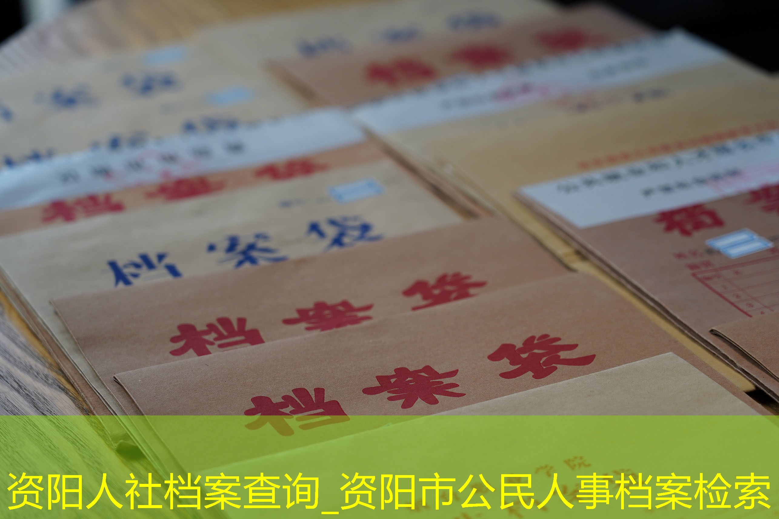 档案查询