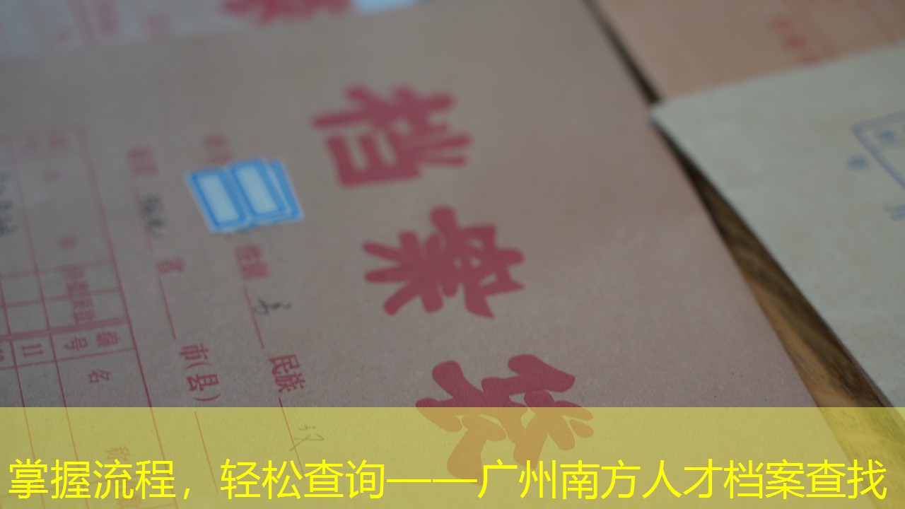 档案查询