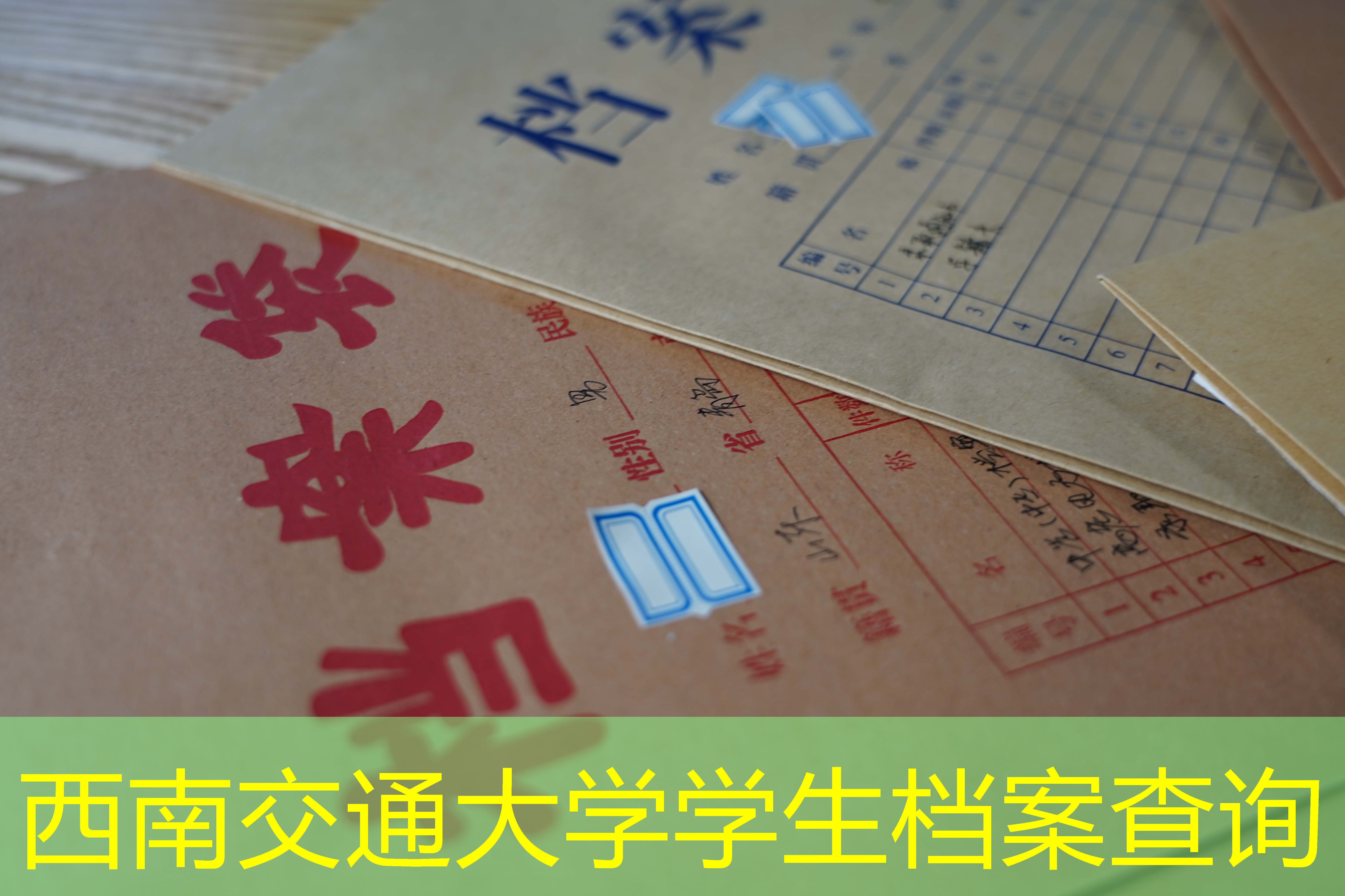 档案查询