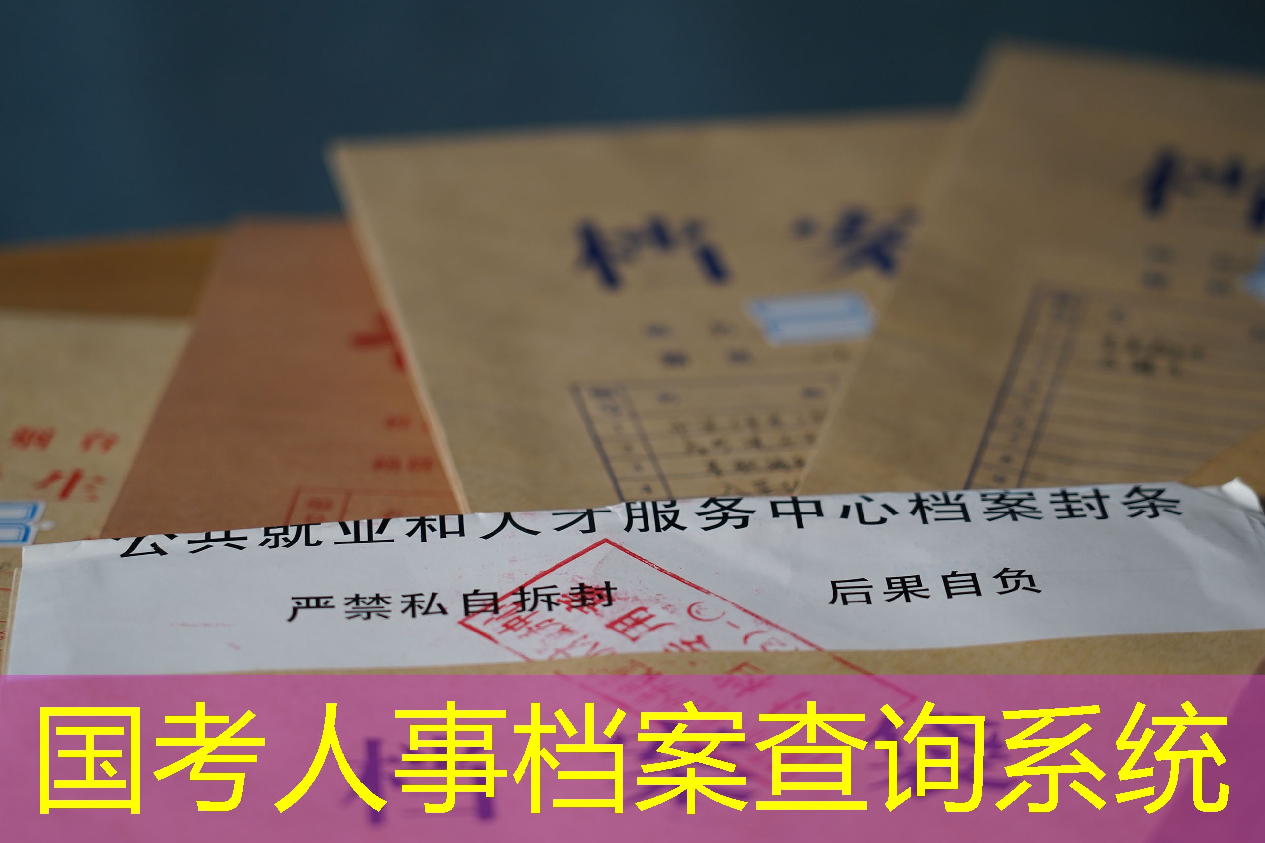 档案查询
