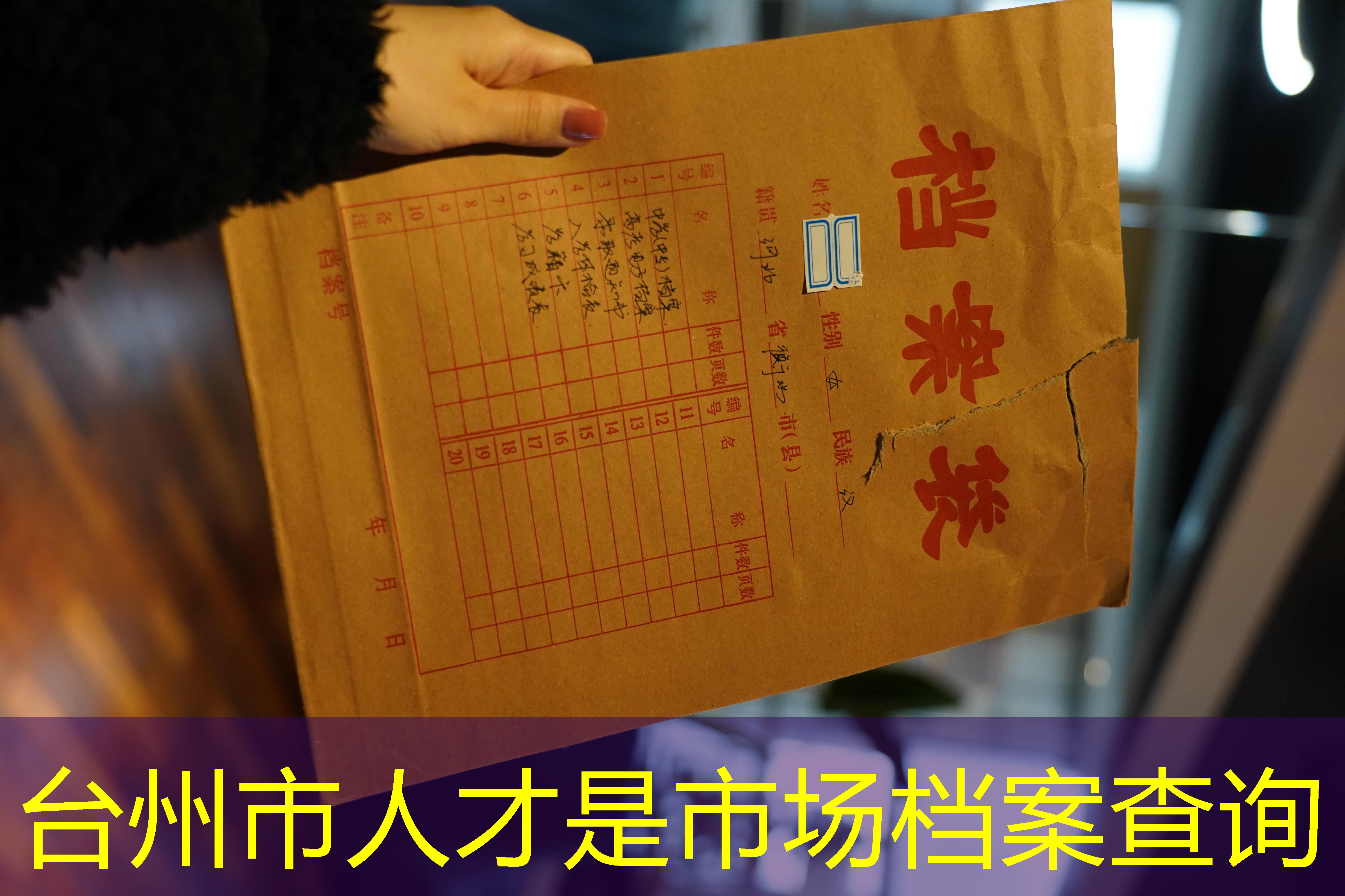 档案查询