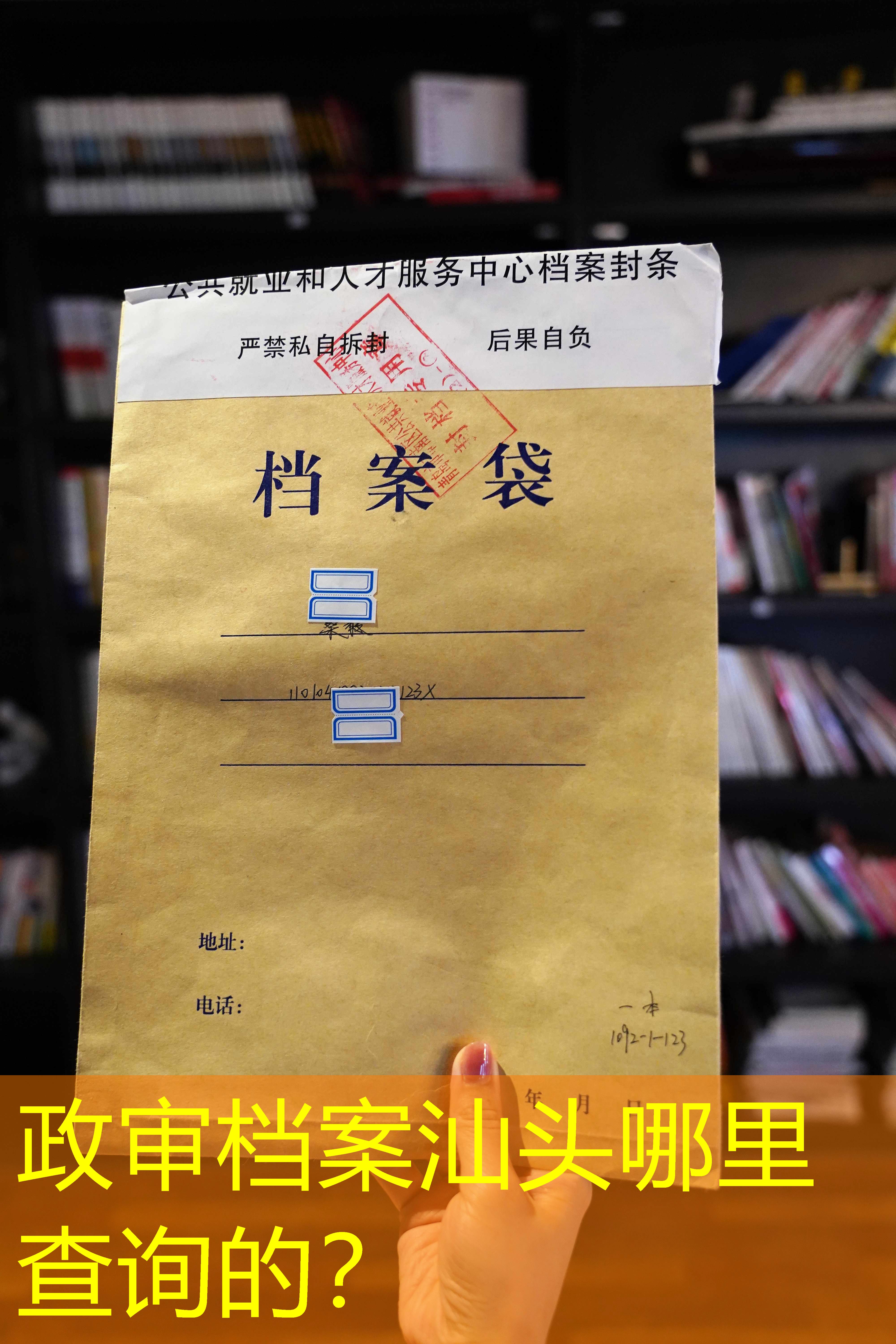 档案查询