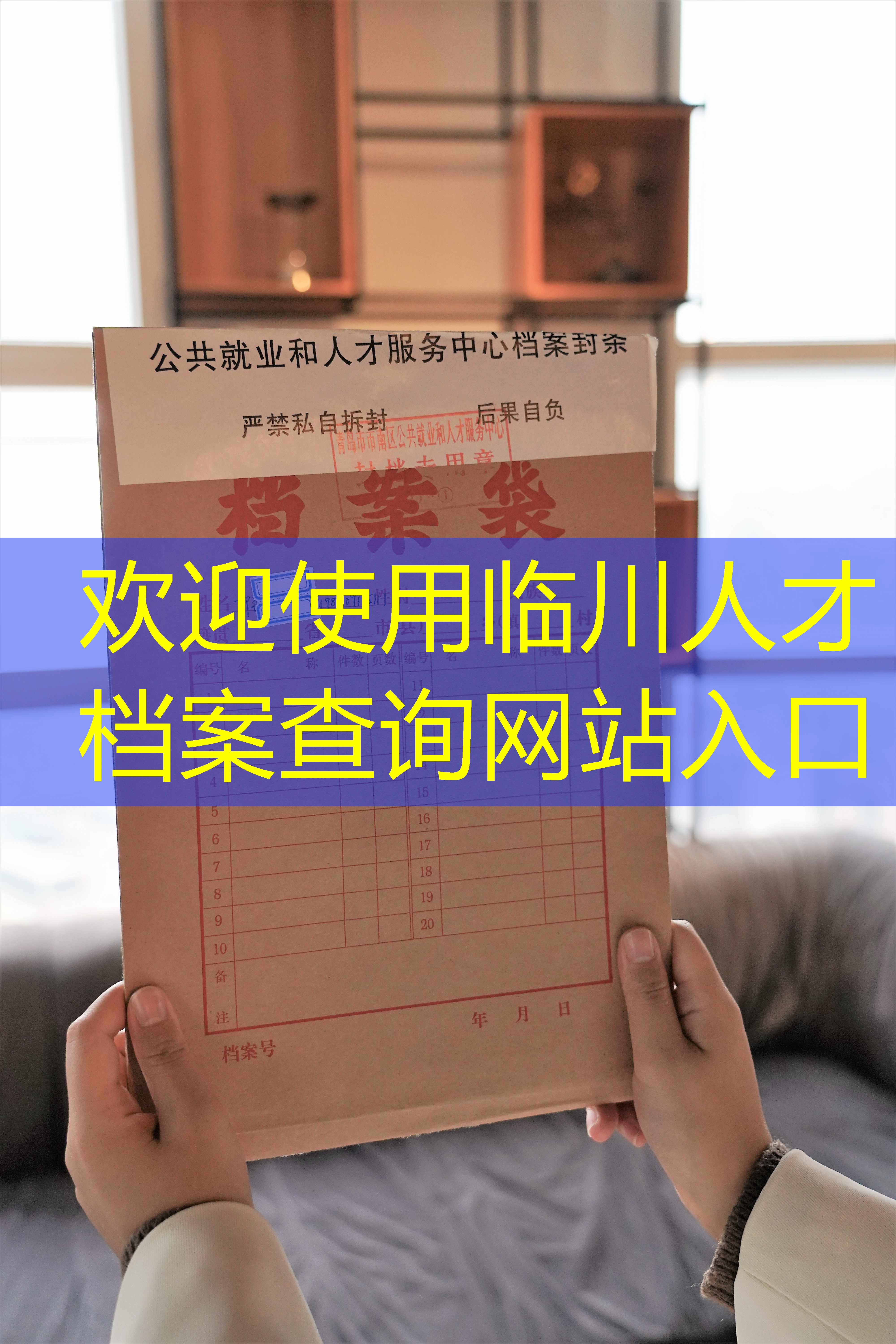 档案查询