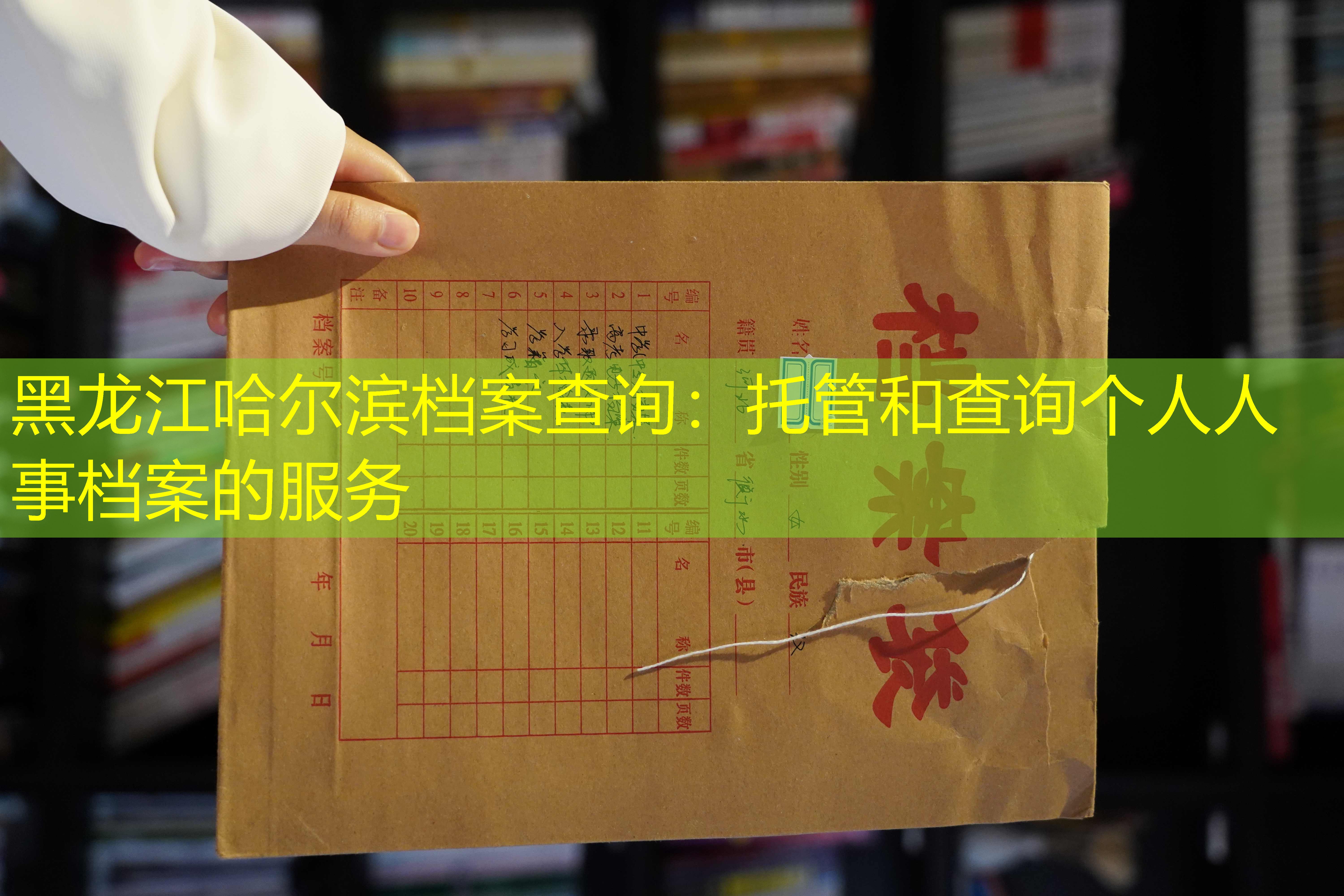 档案查询