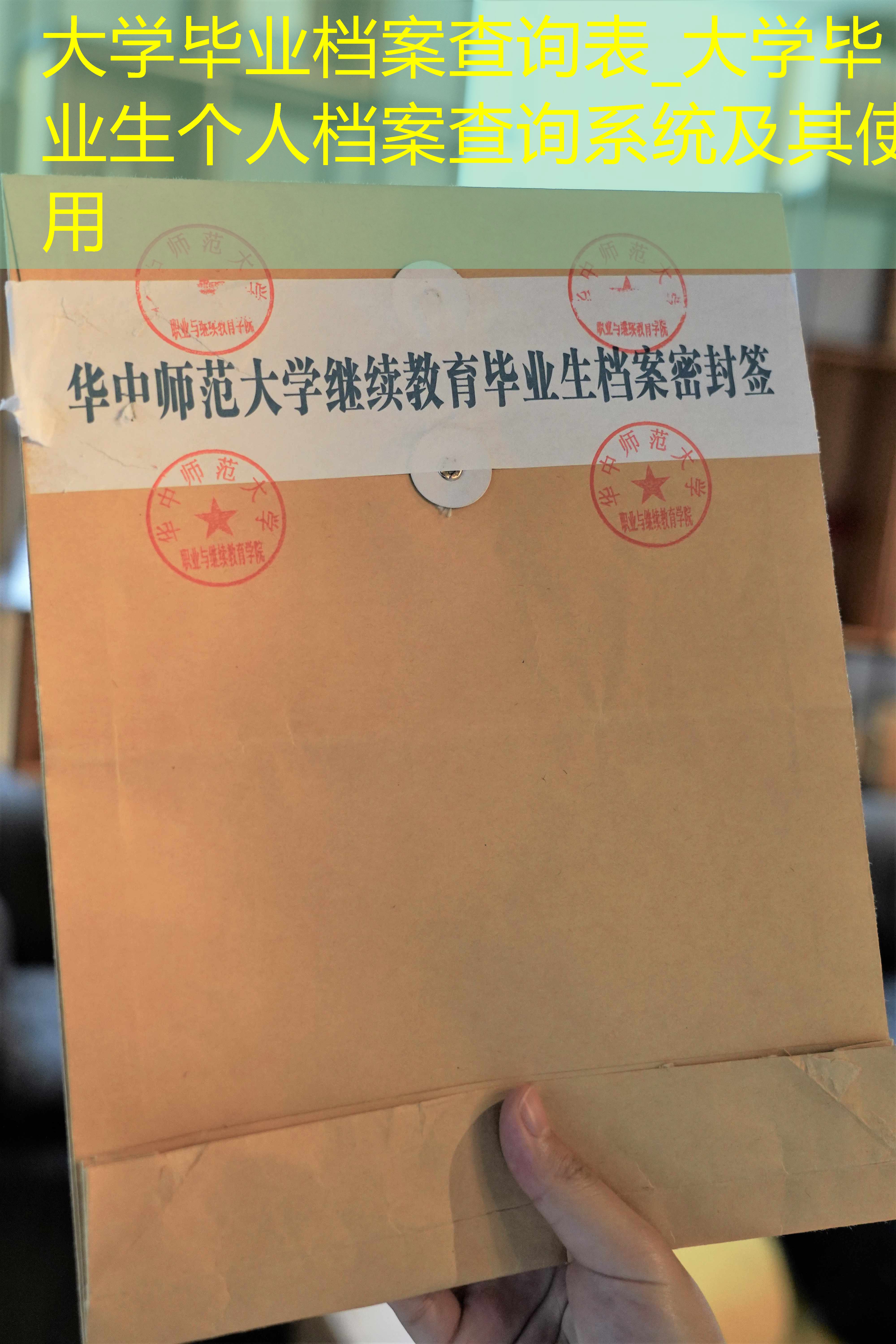 档案查询