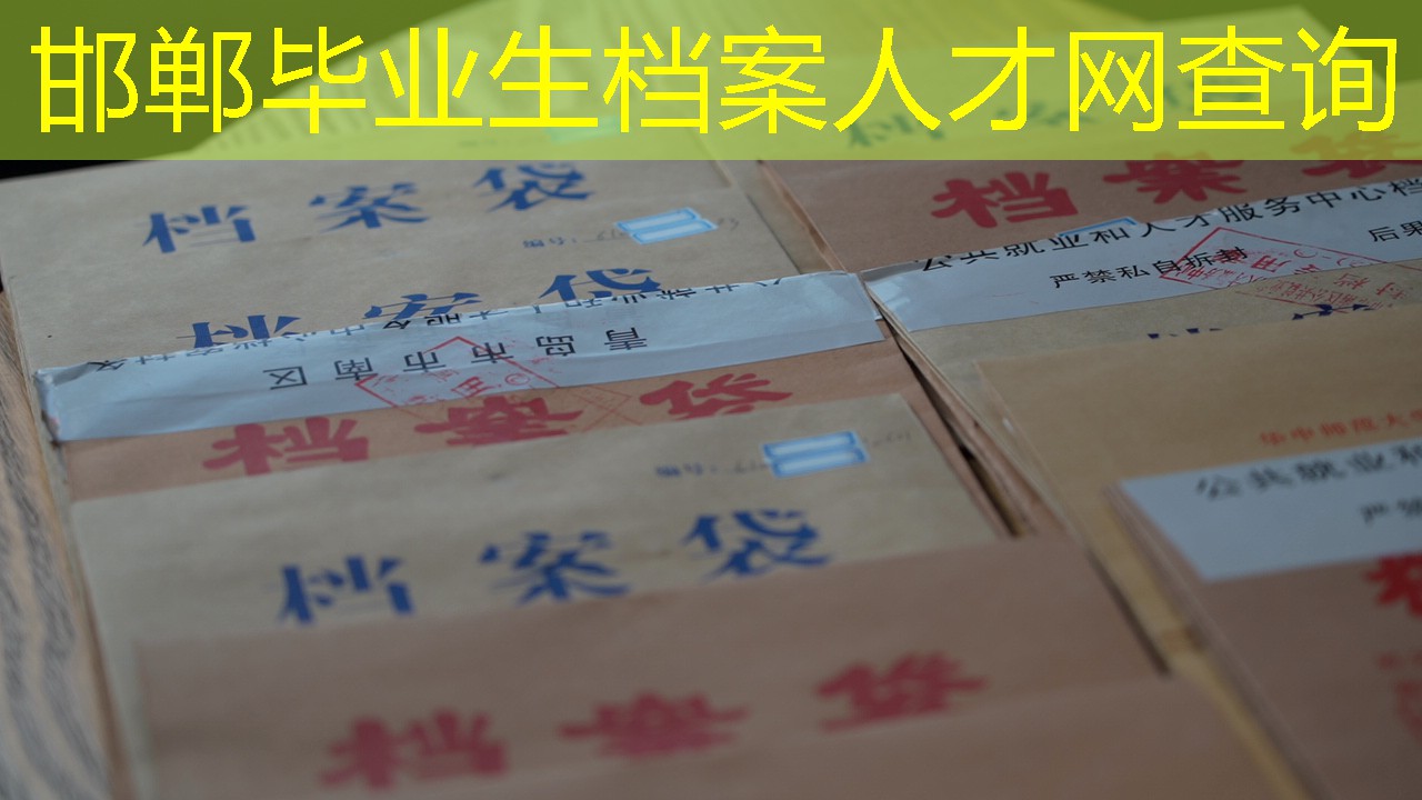 档案查询