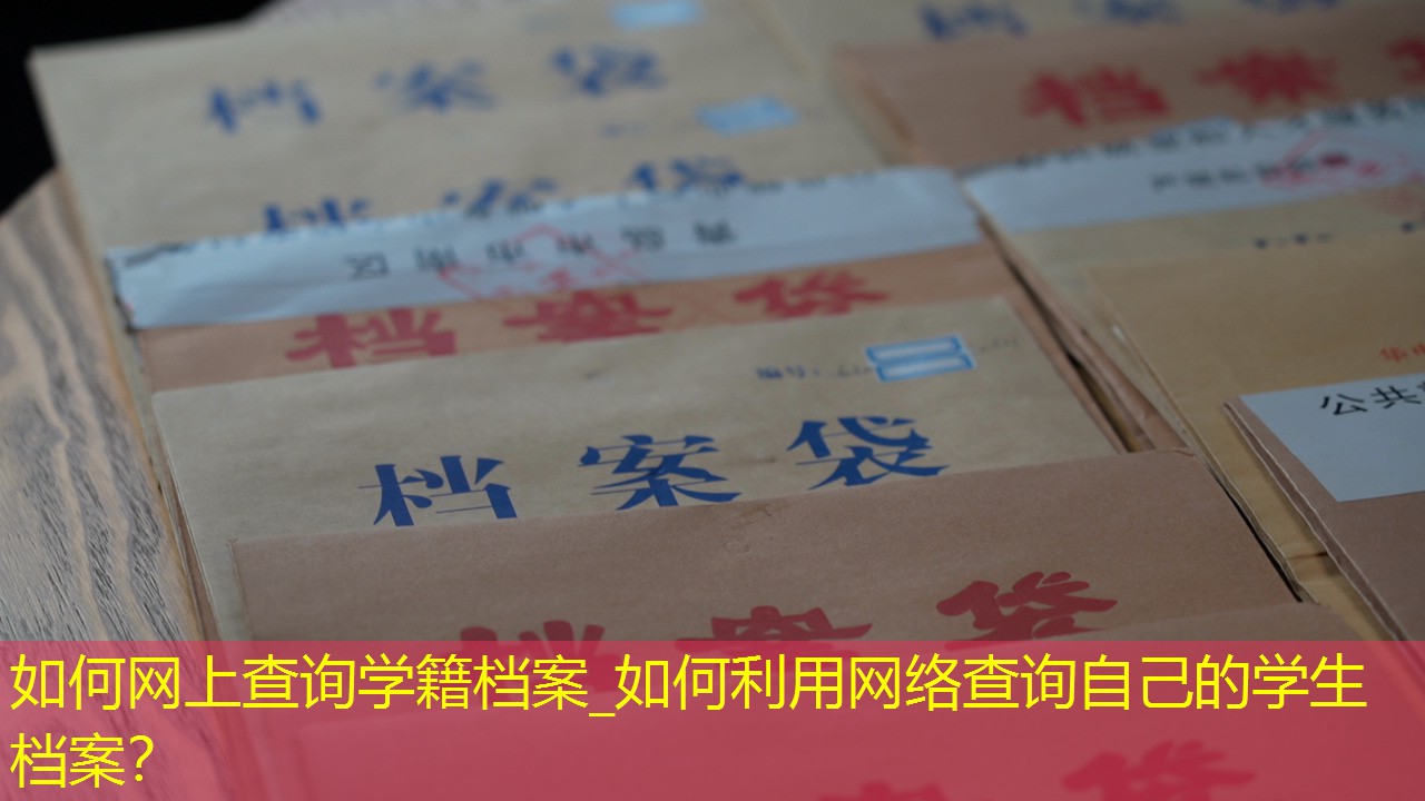 档案查询