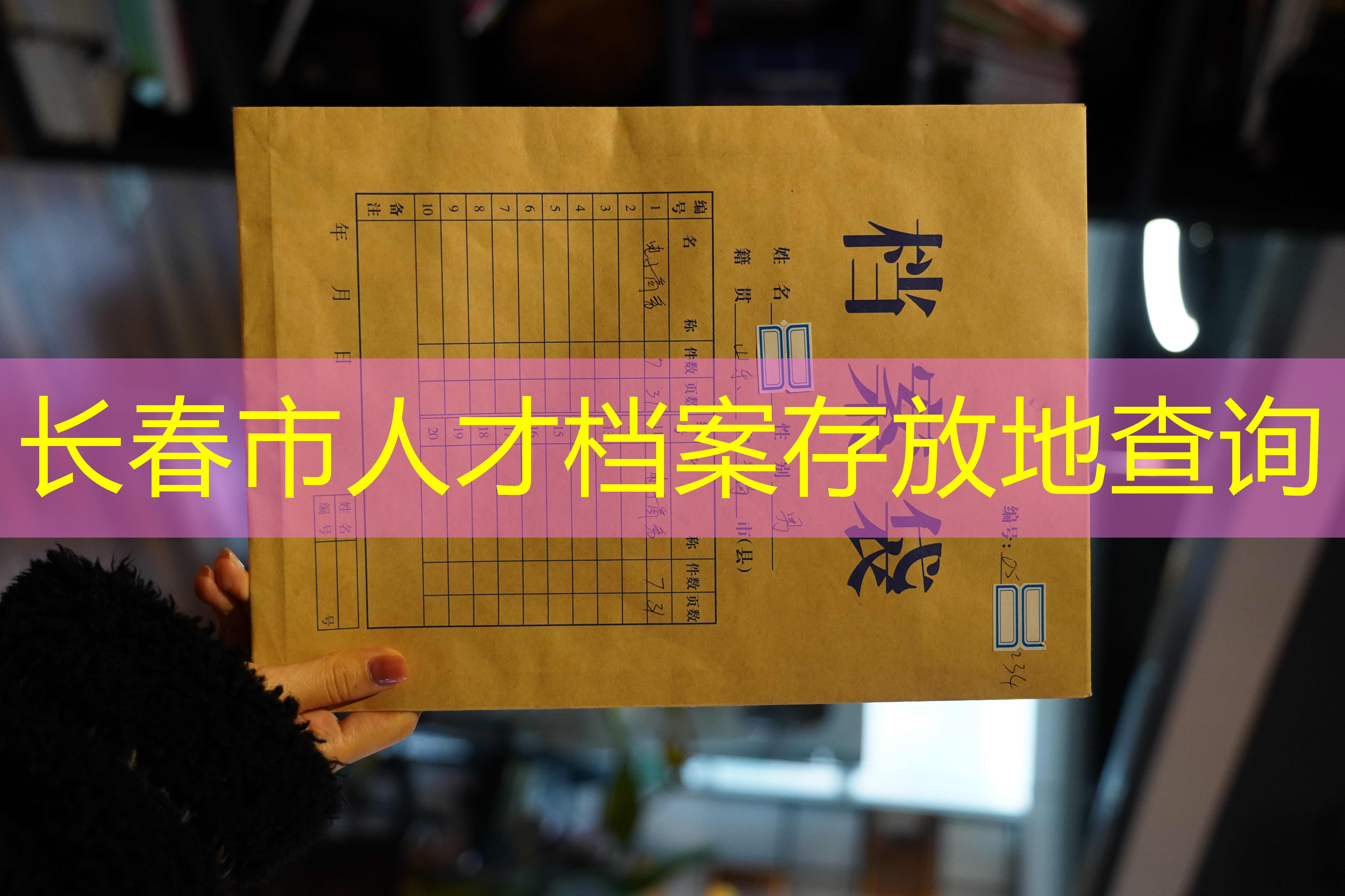 档案查询